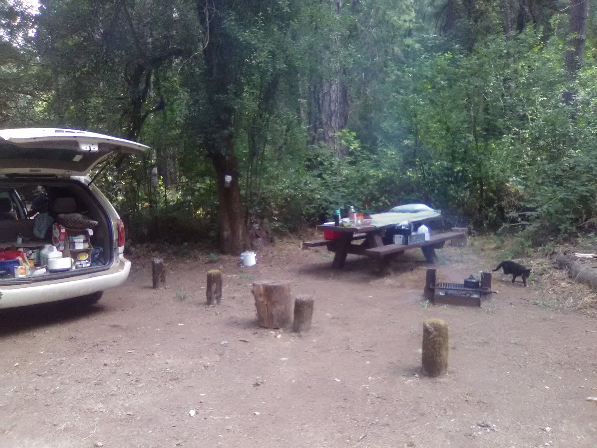 Madrone Campground