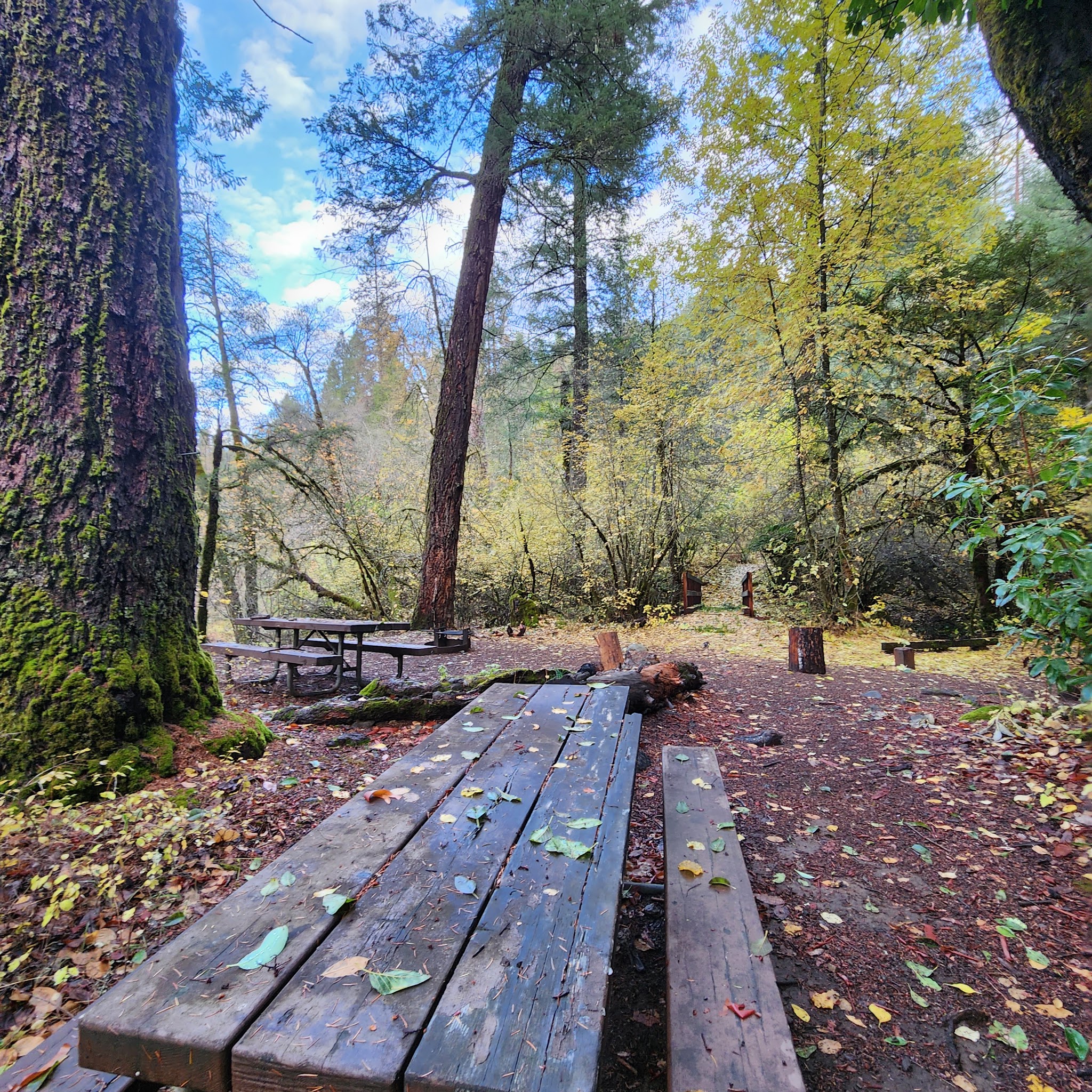 Madrone Campground