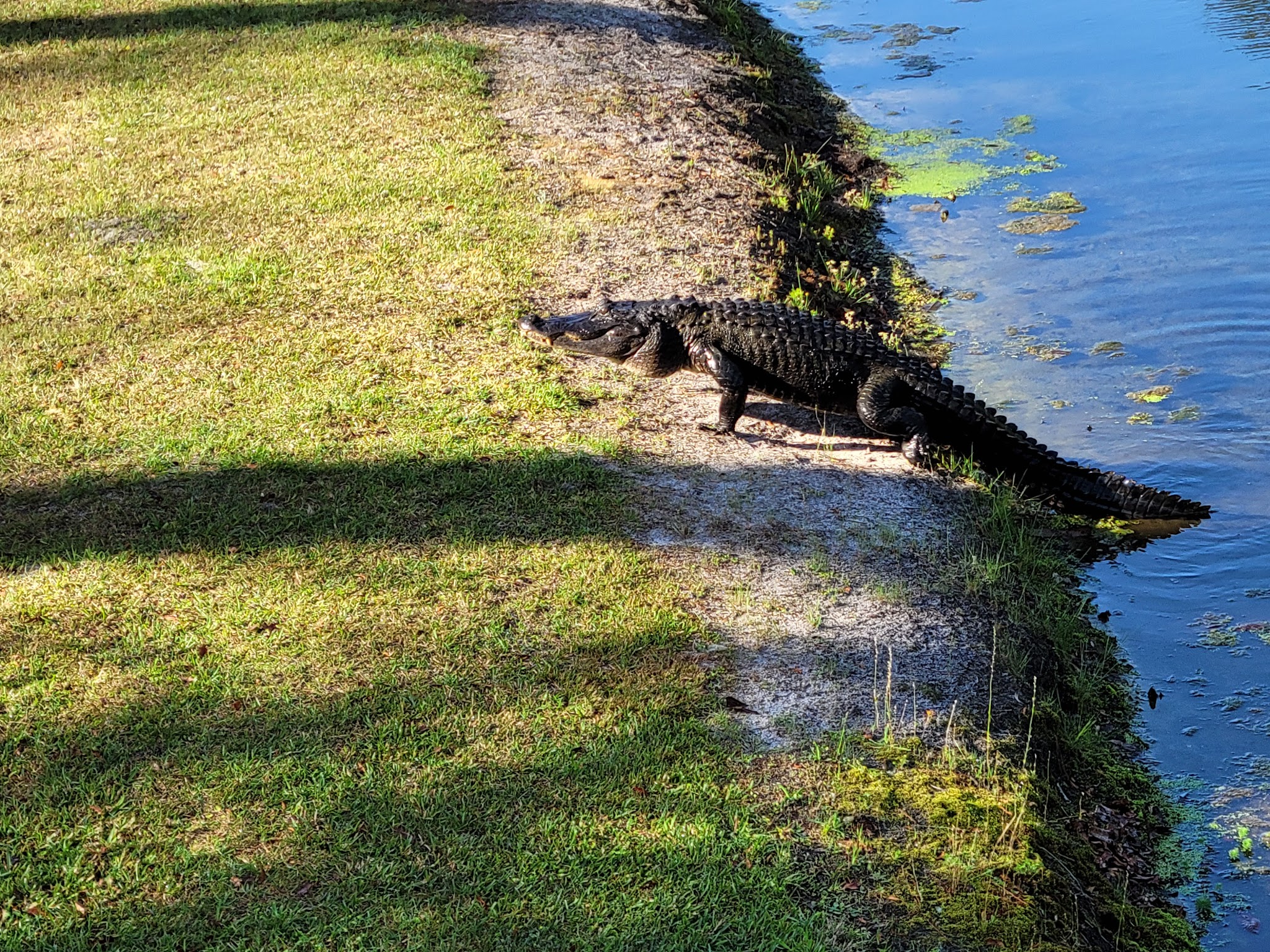 Magnolia Springs State Park