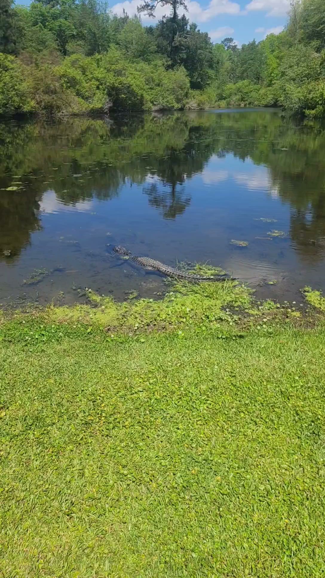 Magnolia Springs State Park
