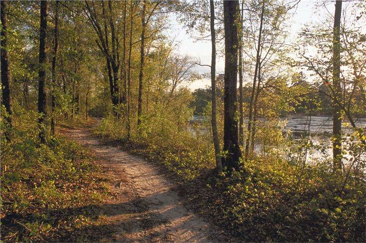 Magnolia Springs State Park