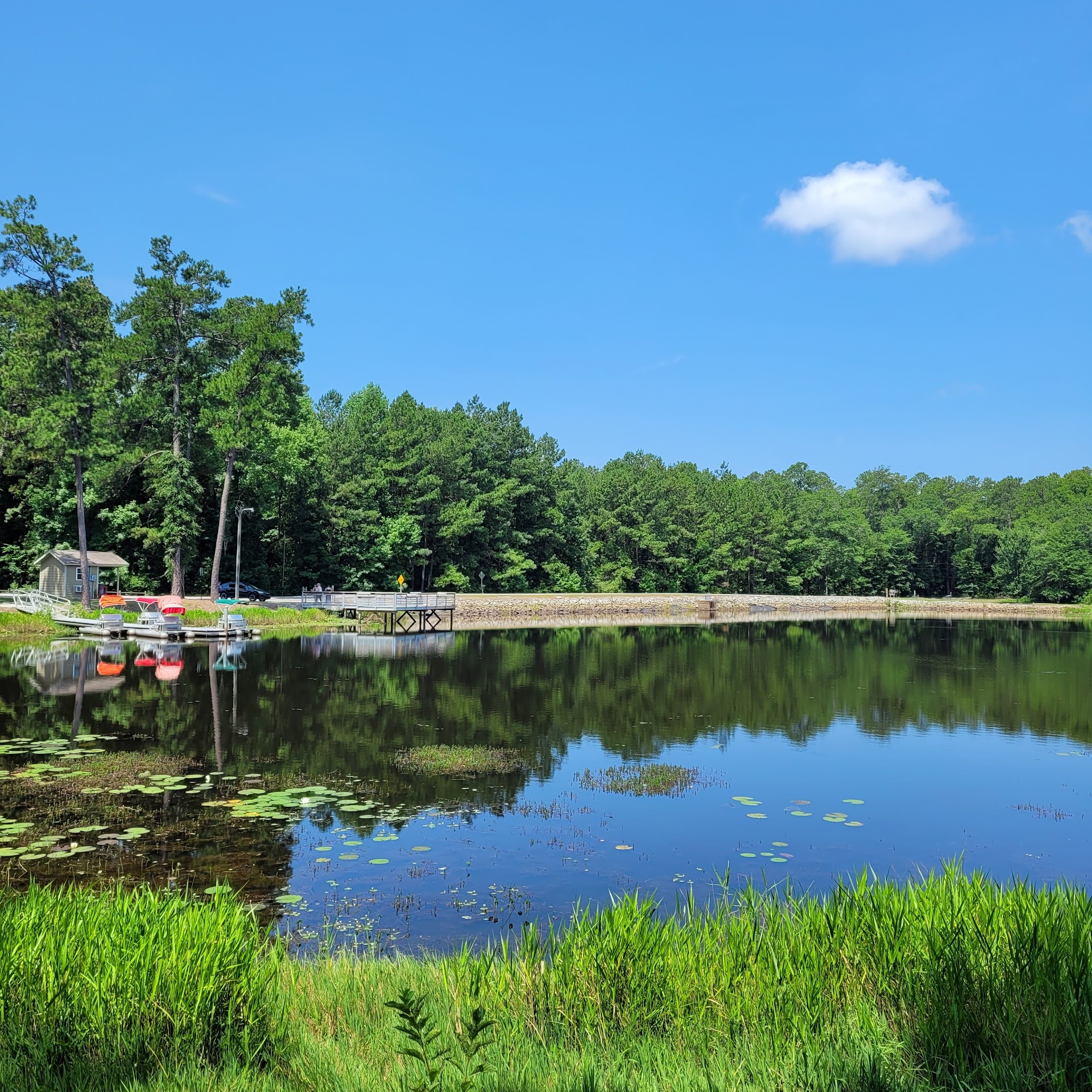 Magnolia Springs State Park
