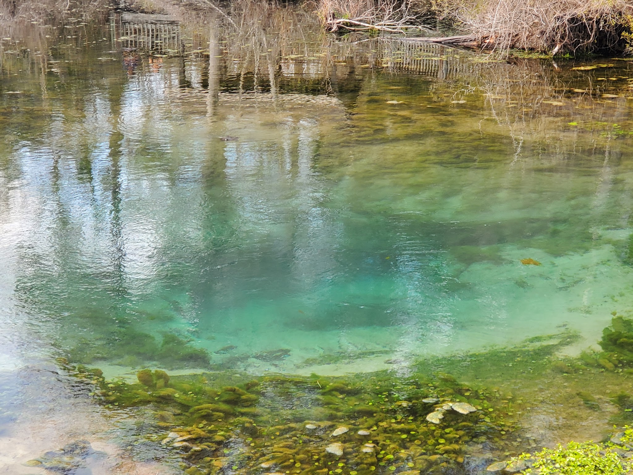 Magnolia Springs State Park