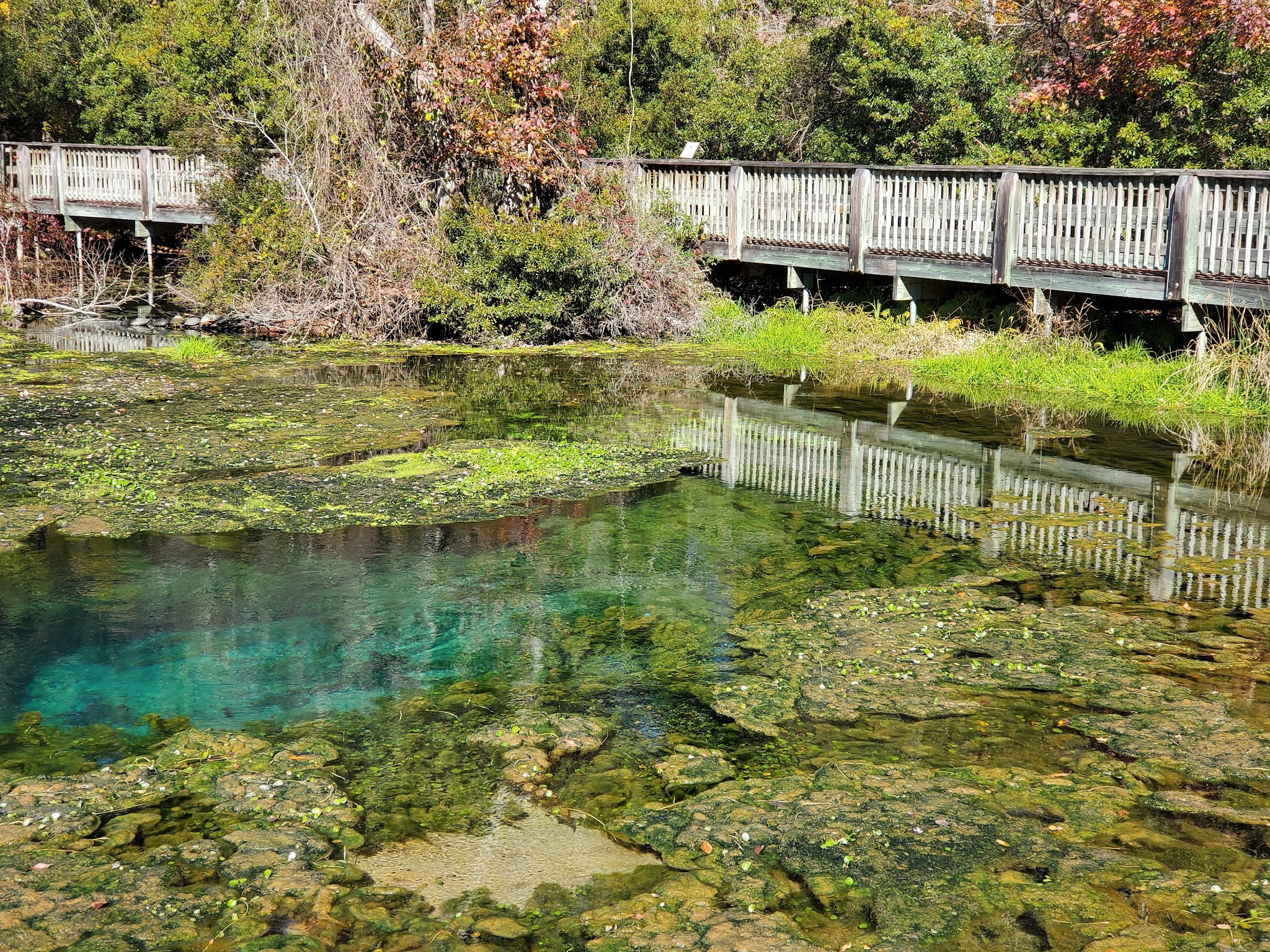Magnolia Springs State Park