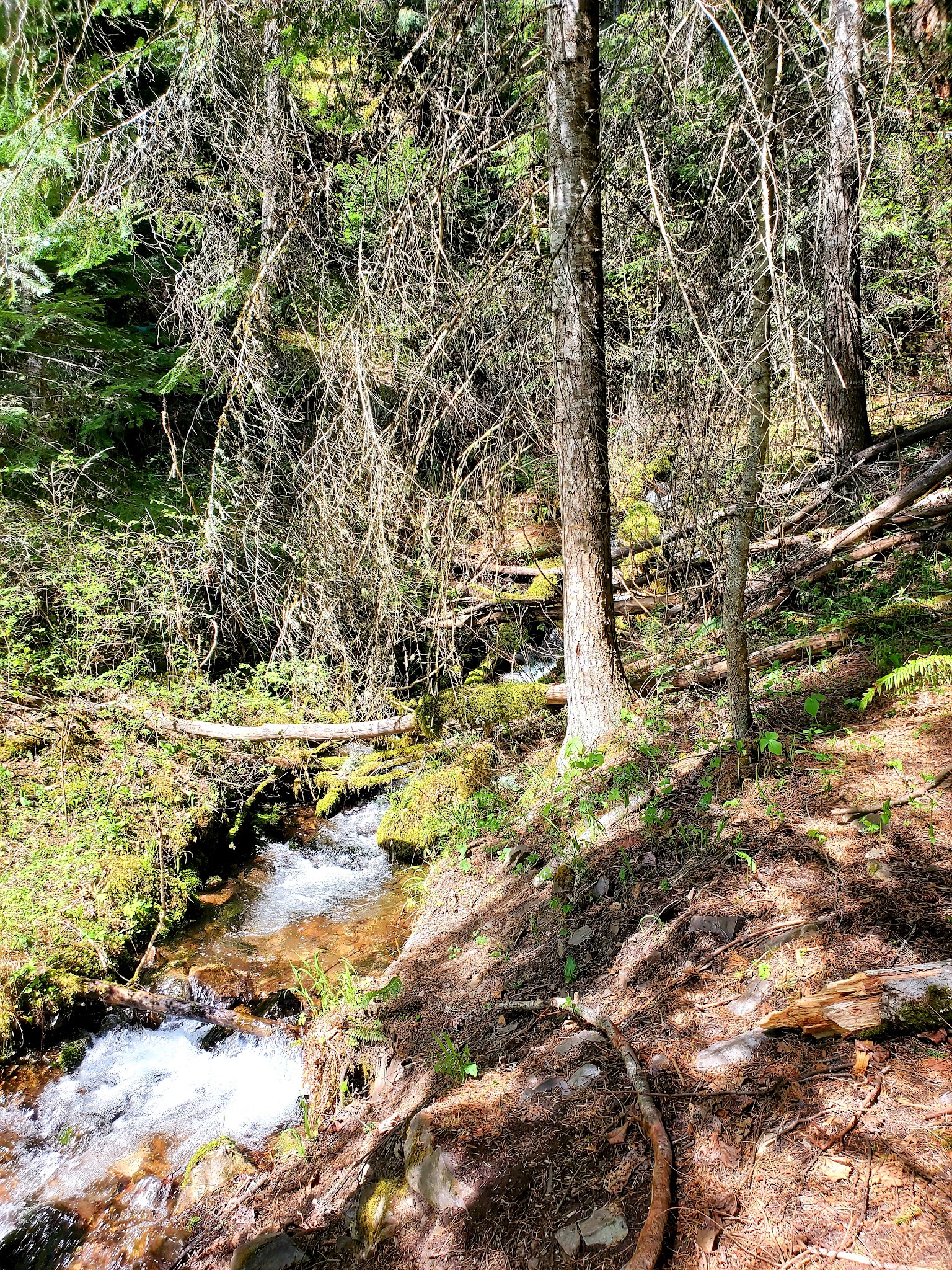 Maiden Rock Campground
