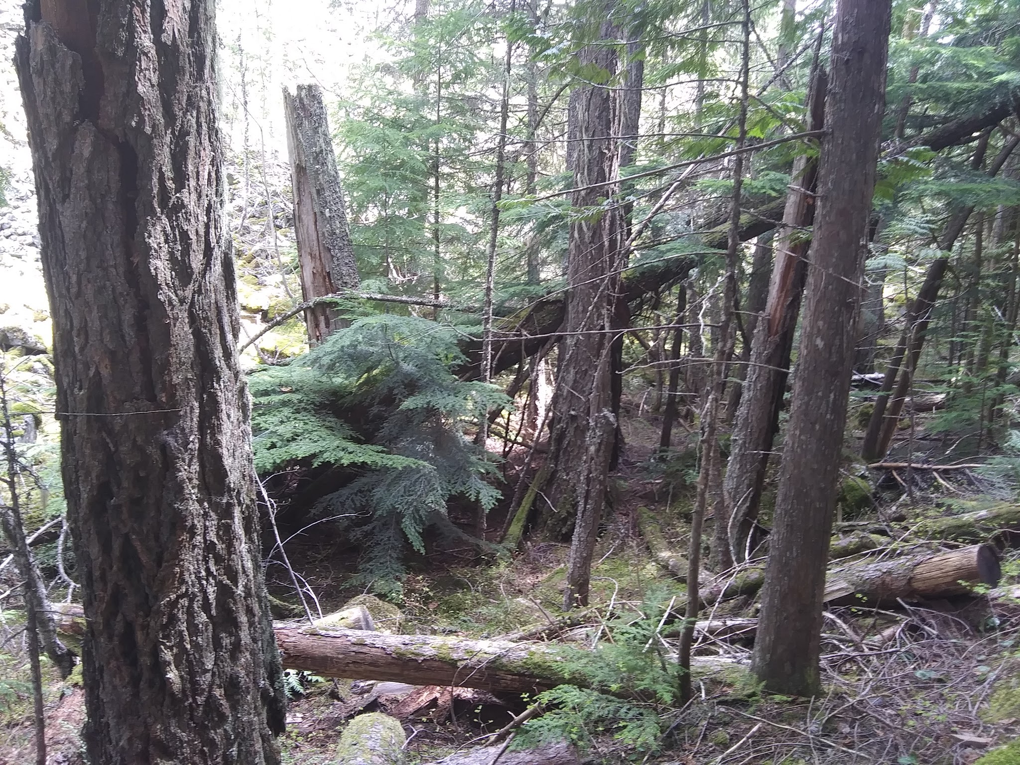 Maiden Rock Campground