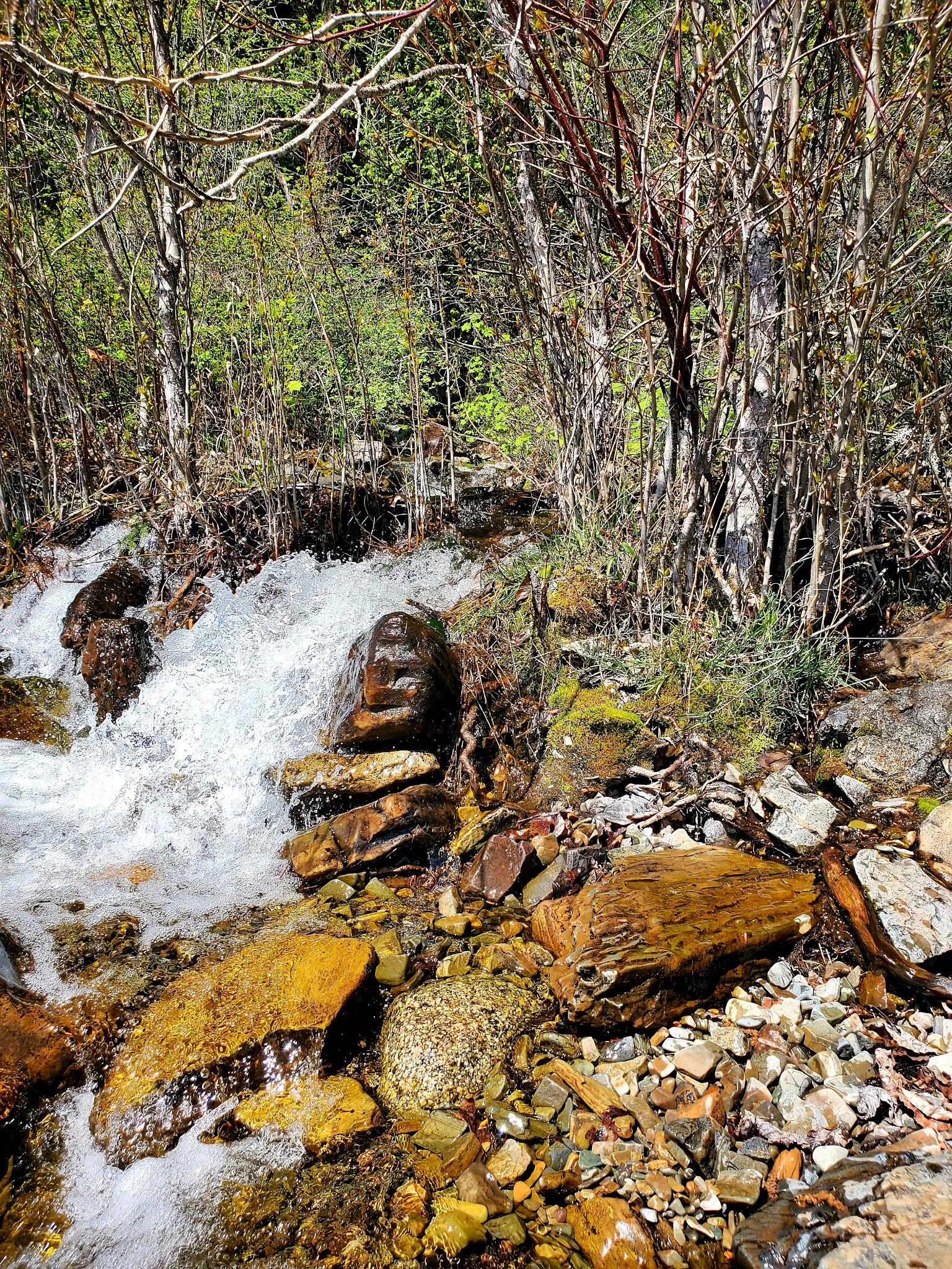Maiden Rock Campground