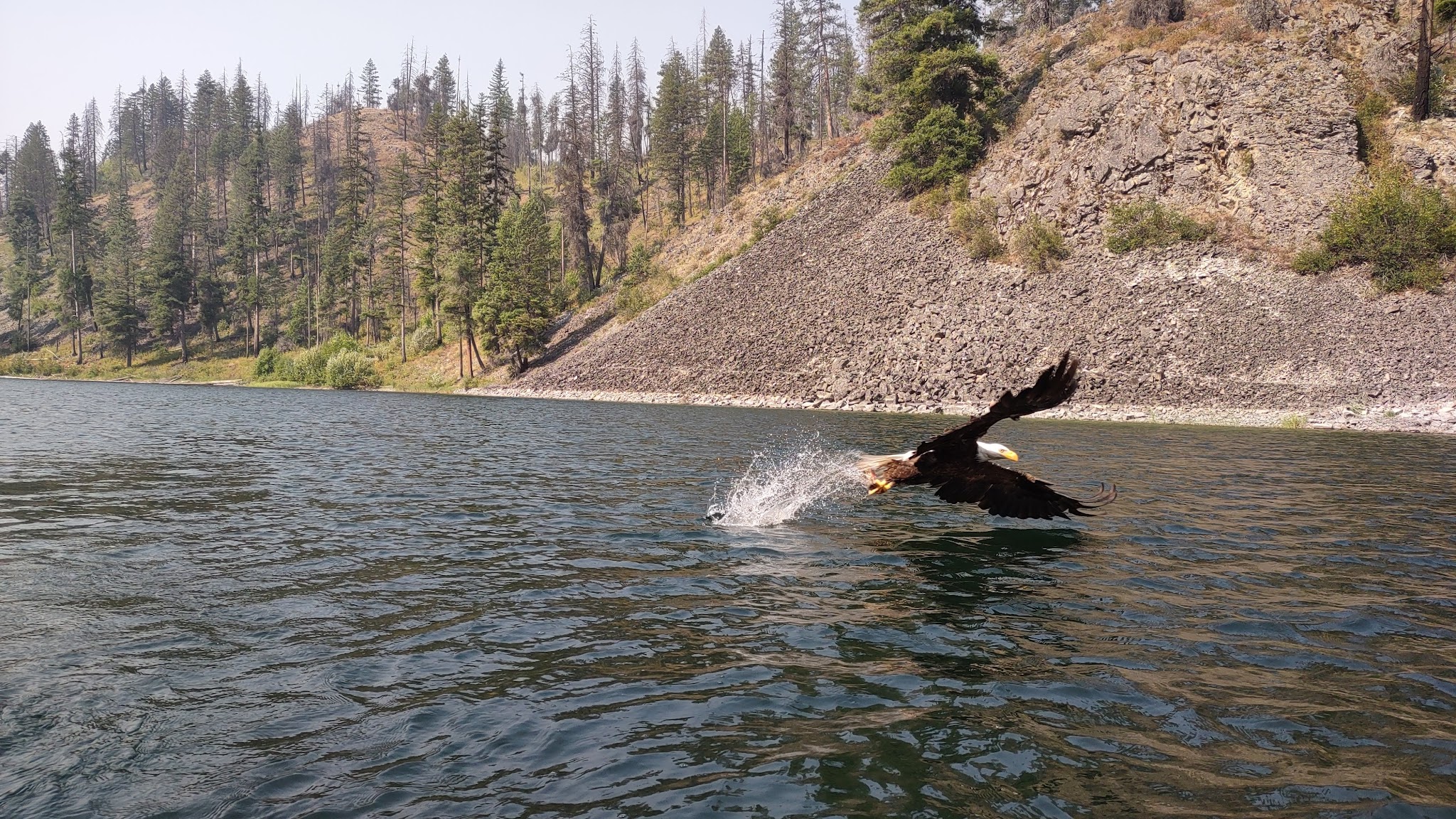 Long Lake Campground