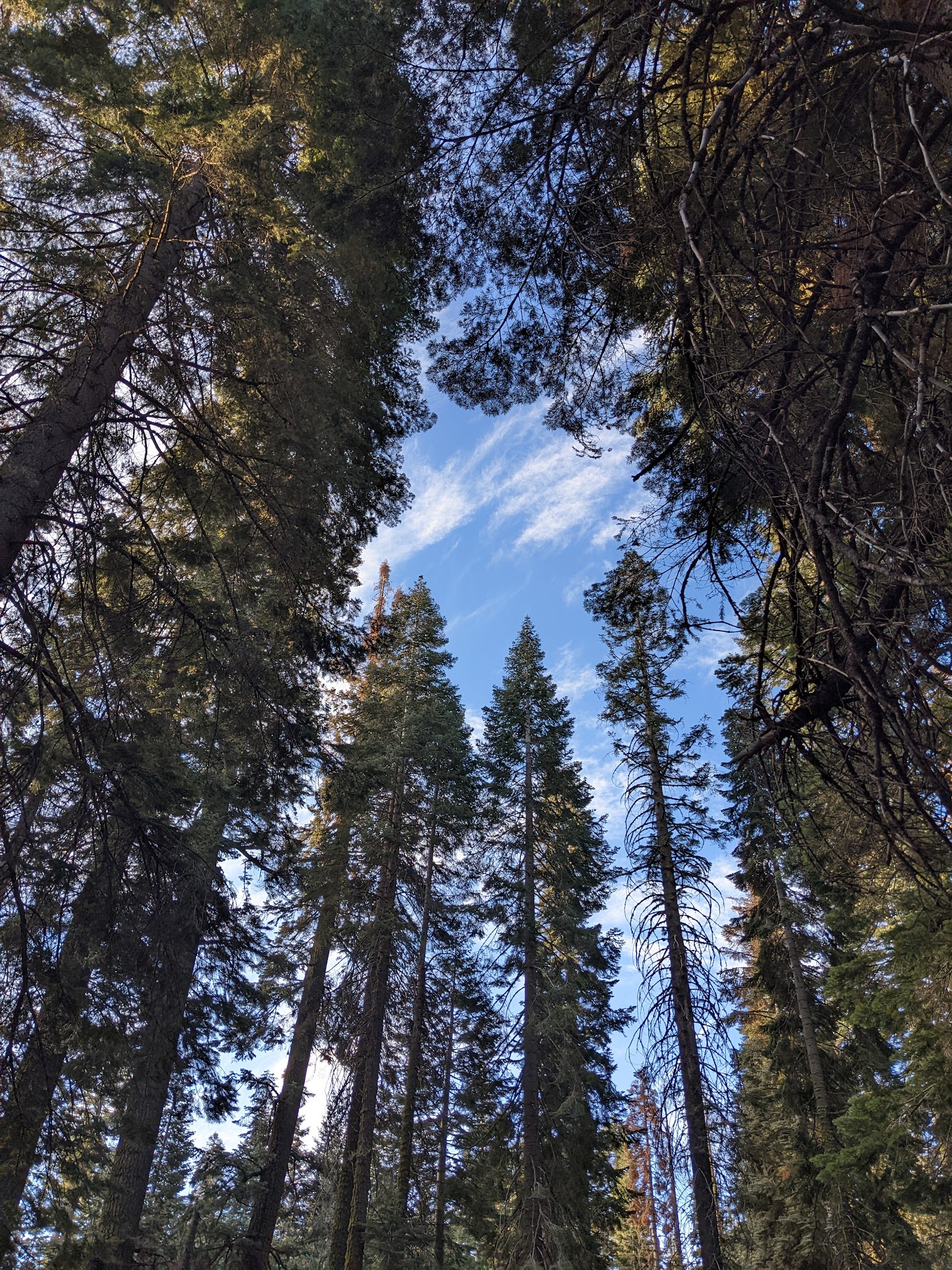 Sawmill Flat Campground