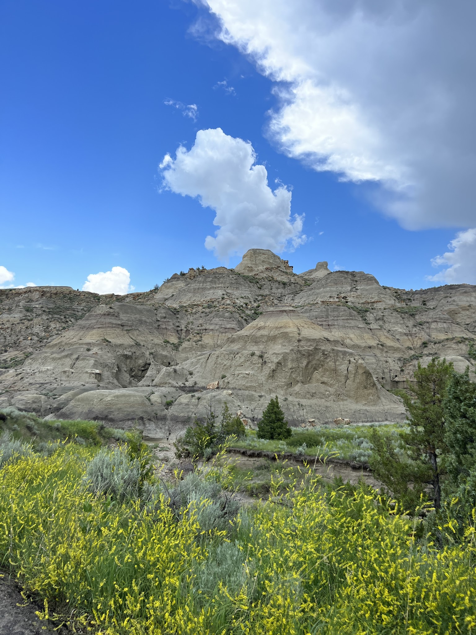 Makoshika State Park