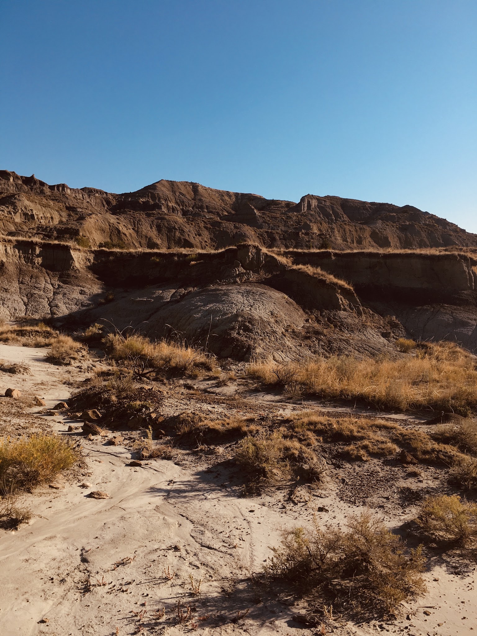 Makoshika State Park