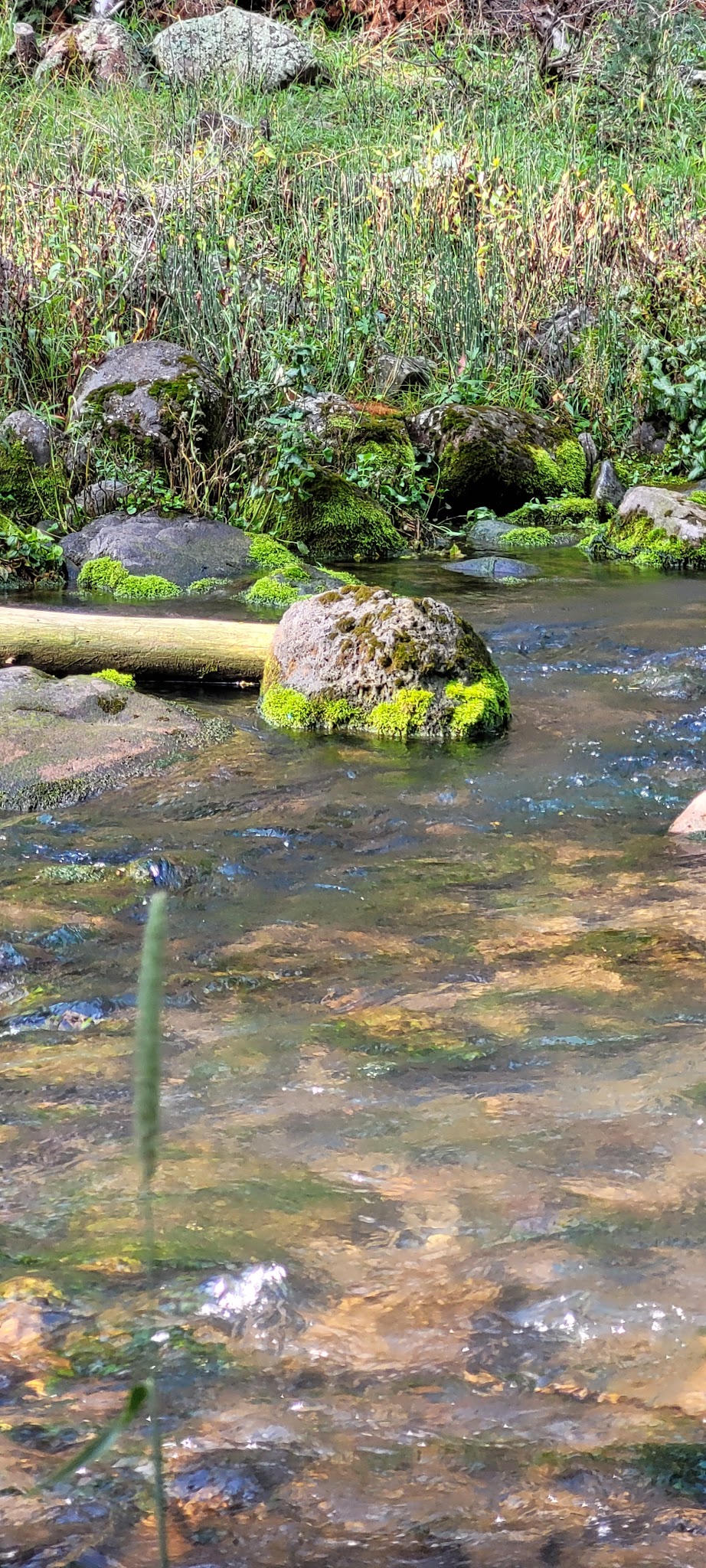 Mammoth Designated Dispersed Camping Area