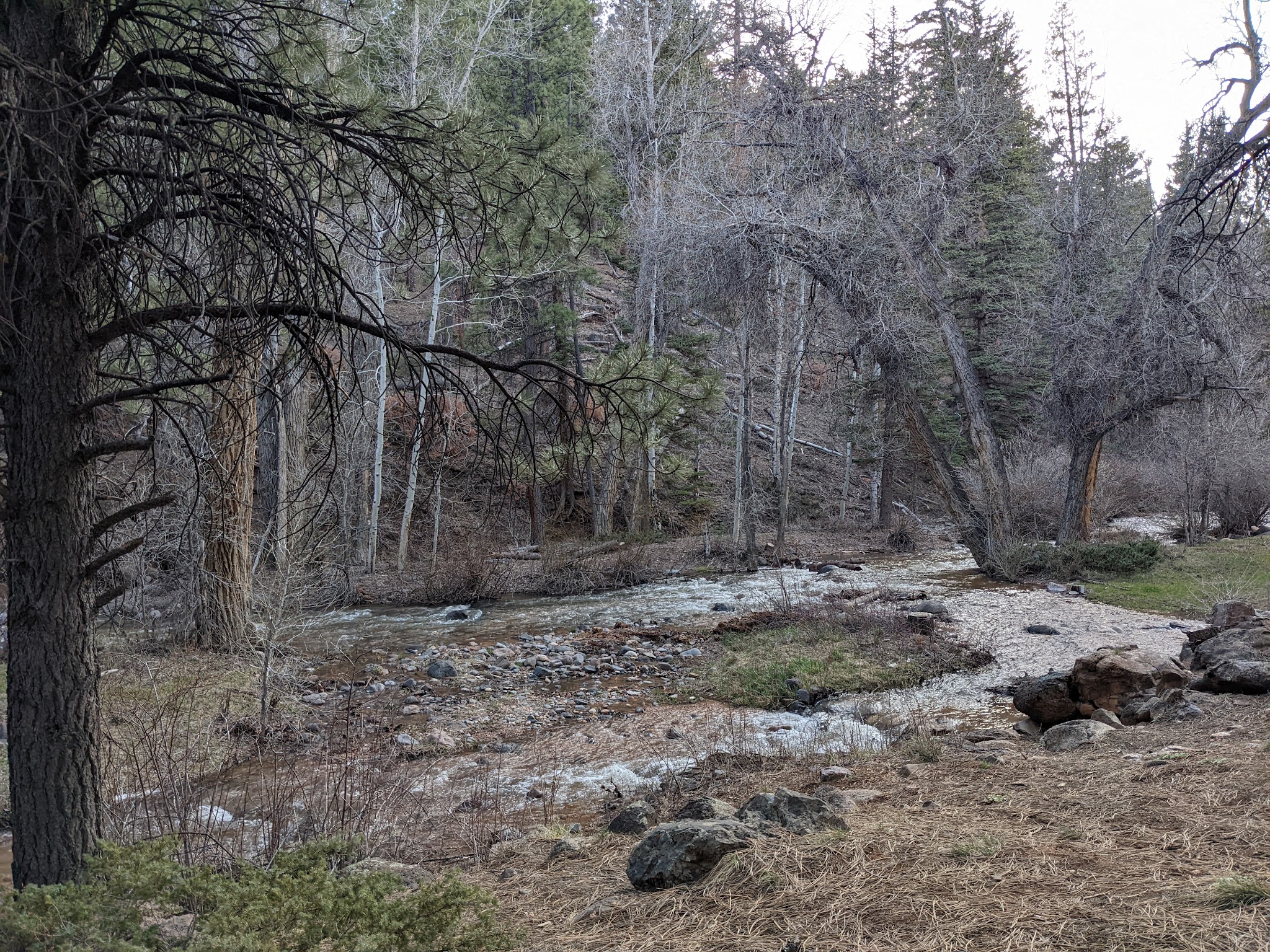 Mammoth Designated Dispersed Camping Area