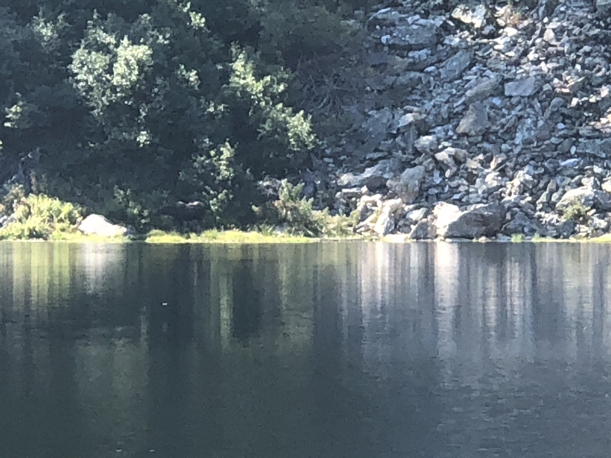 Mammoth Springs Campground