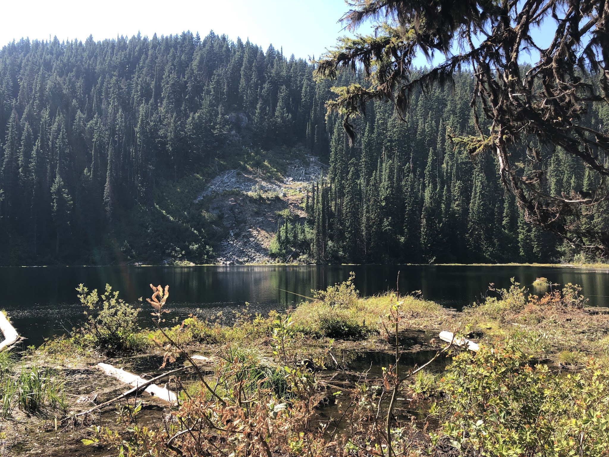 Mammoth Springs Campground