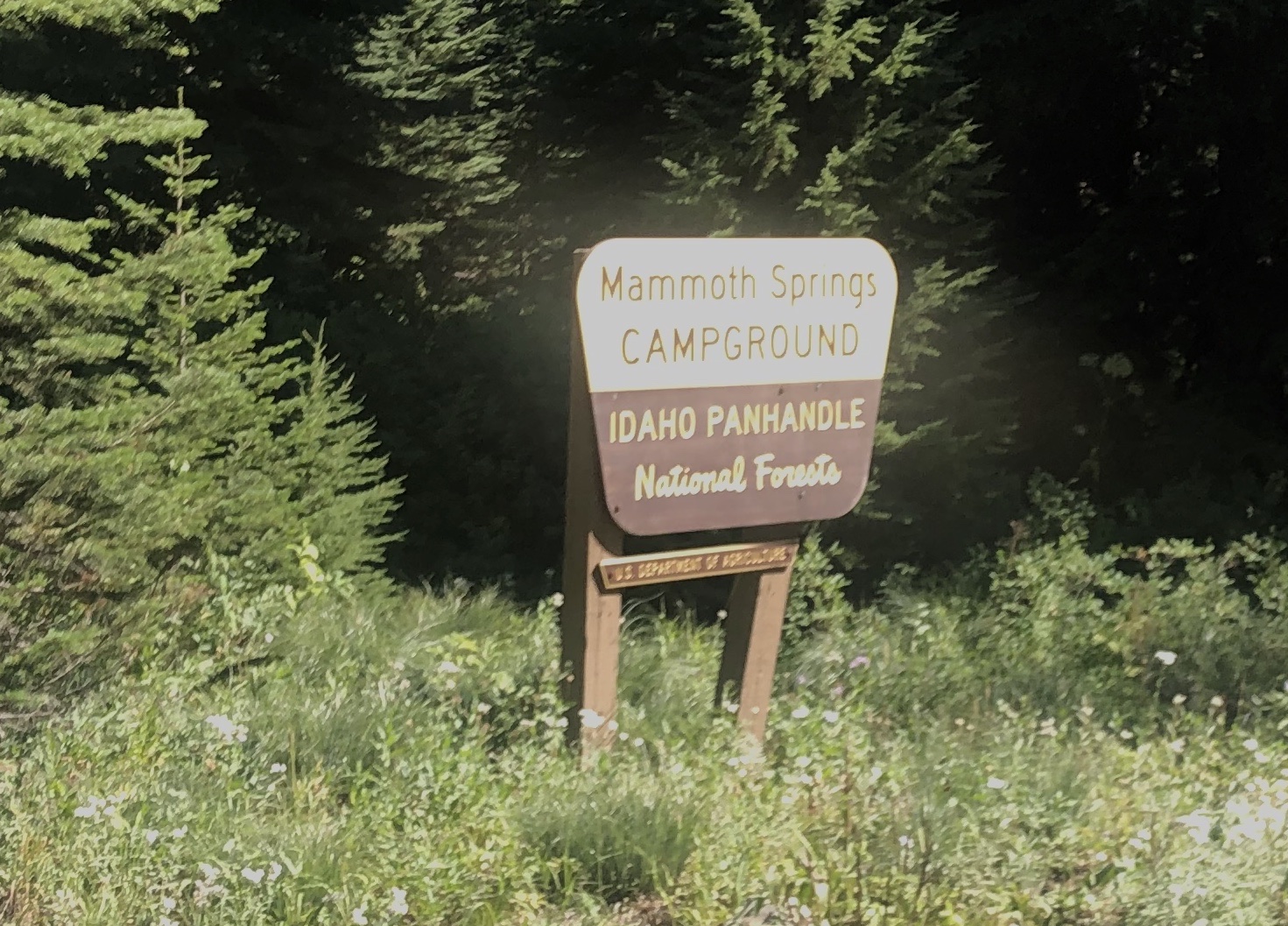 Mammoth Springs Campground