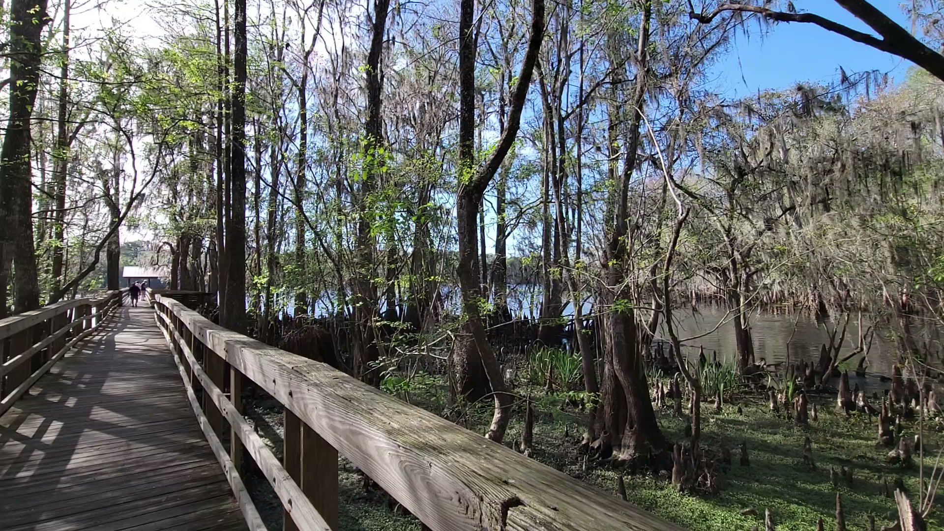 Manatee Springs State Park Campground