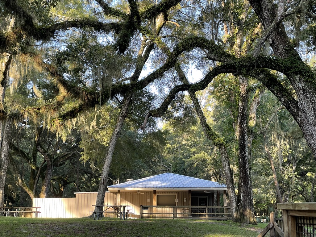 Manatee Springs State Park Campground