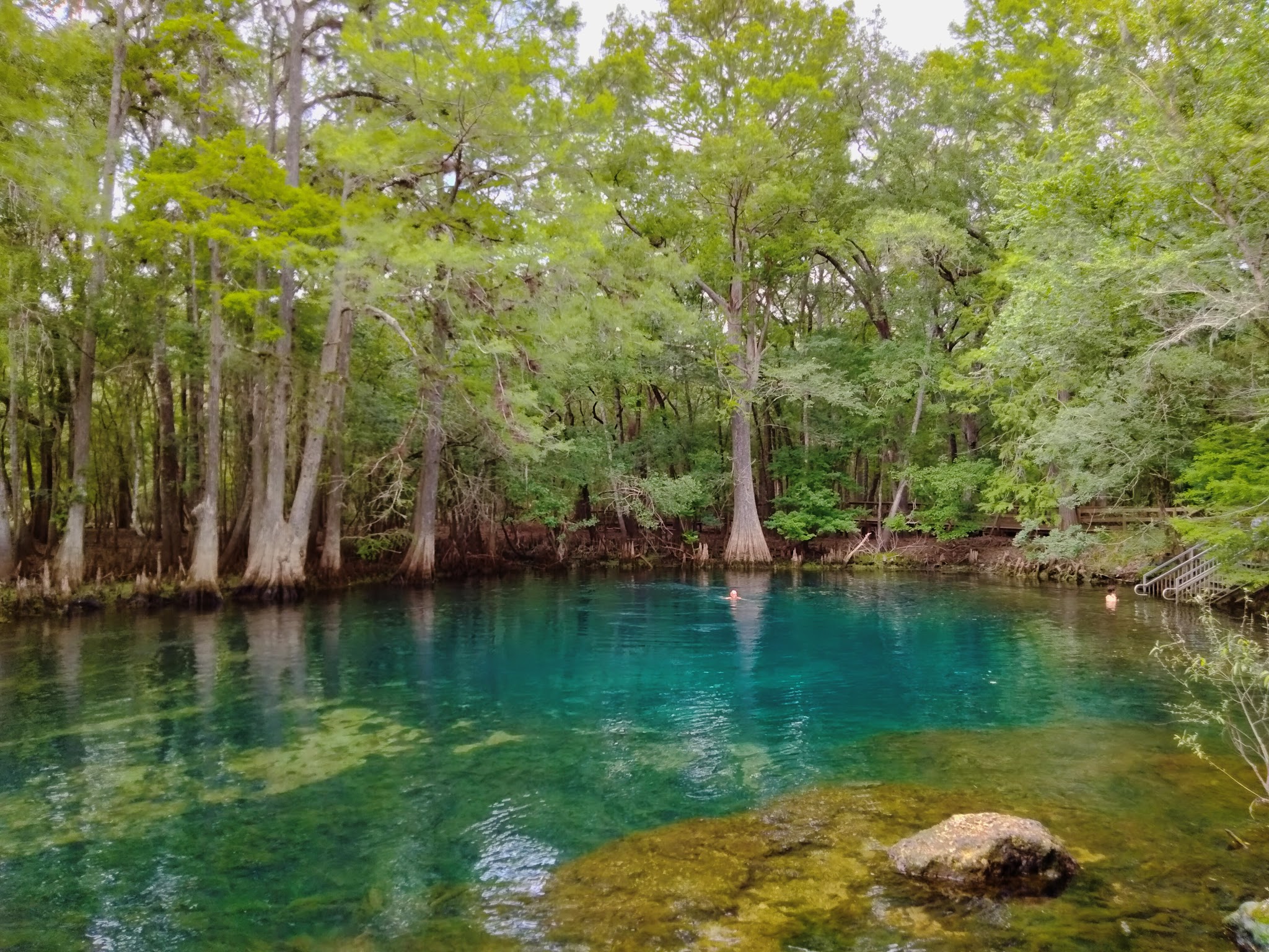 Manatee Springs State Park Campground