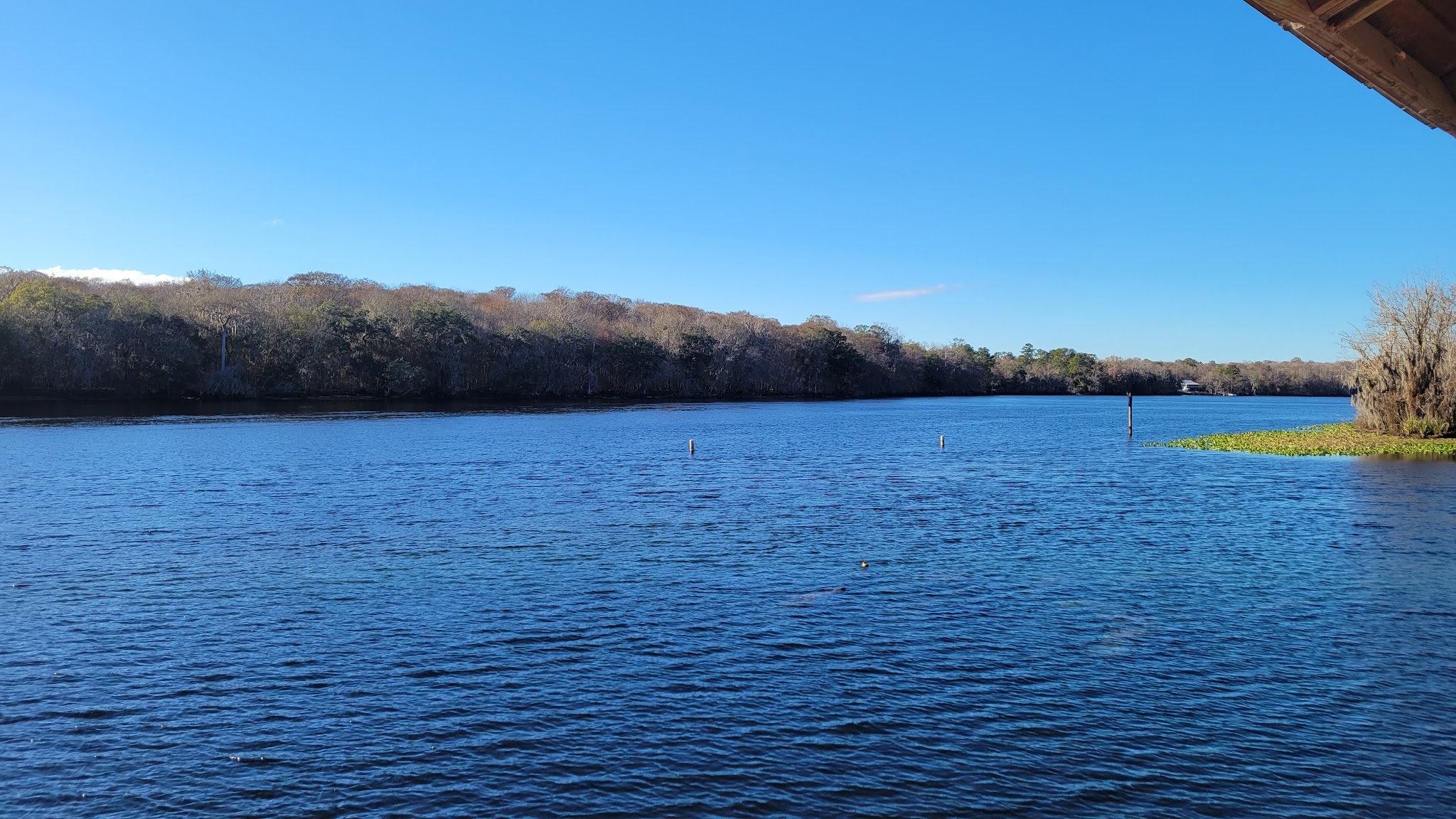 Manatee Springs State Park Campground