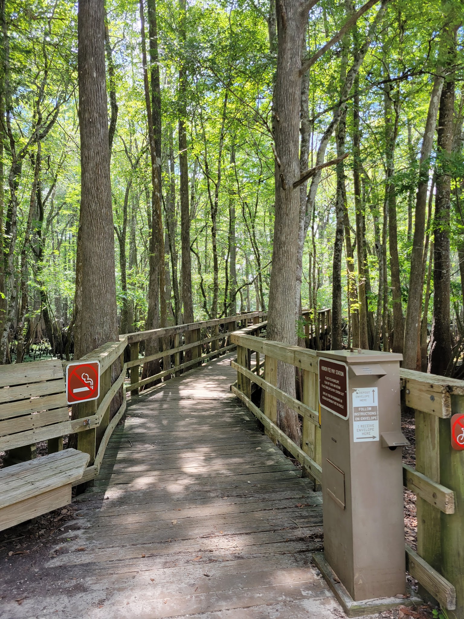 Manatee Springs State Park Campground