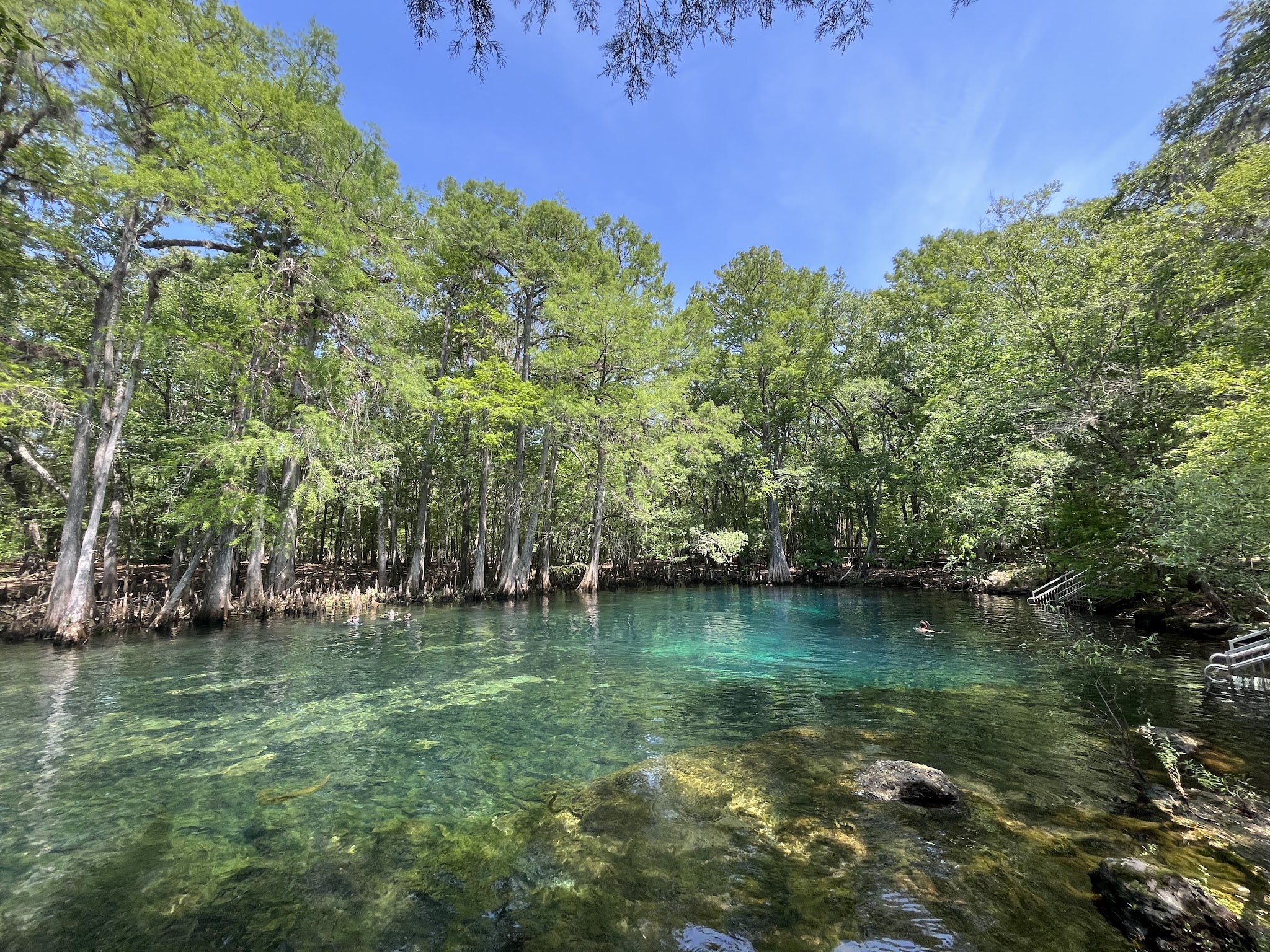 Manatee Springs State Park Campground