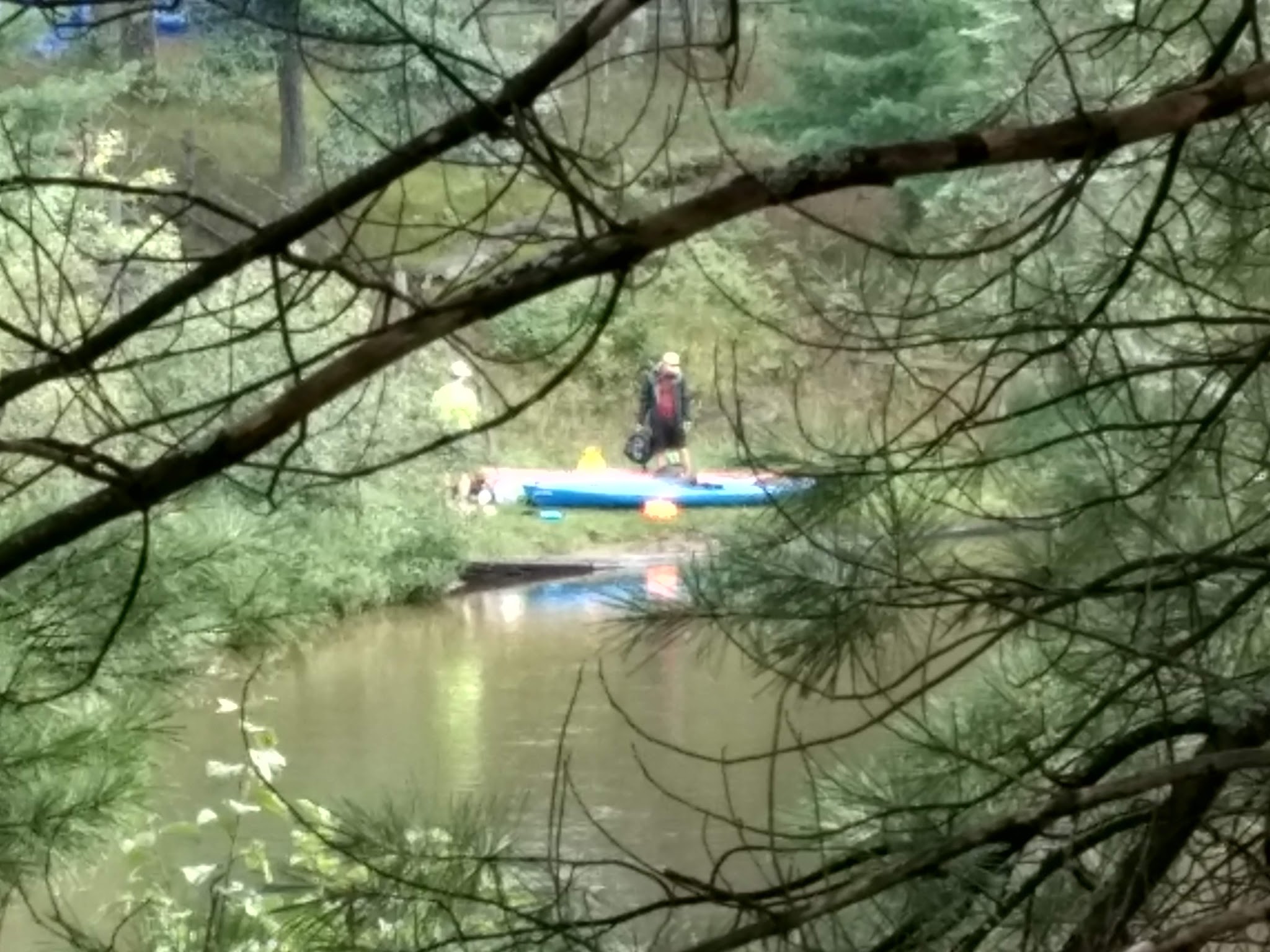 Manistee River Bridge State Forest Campground