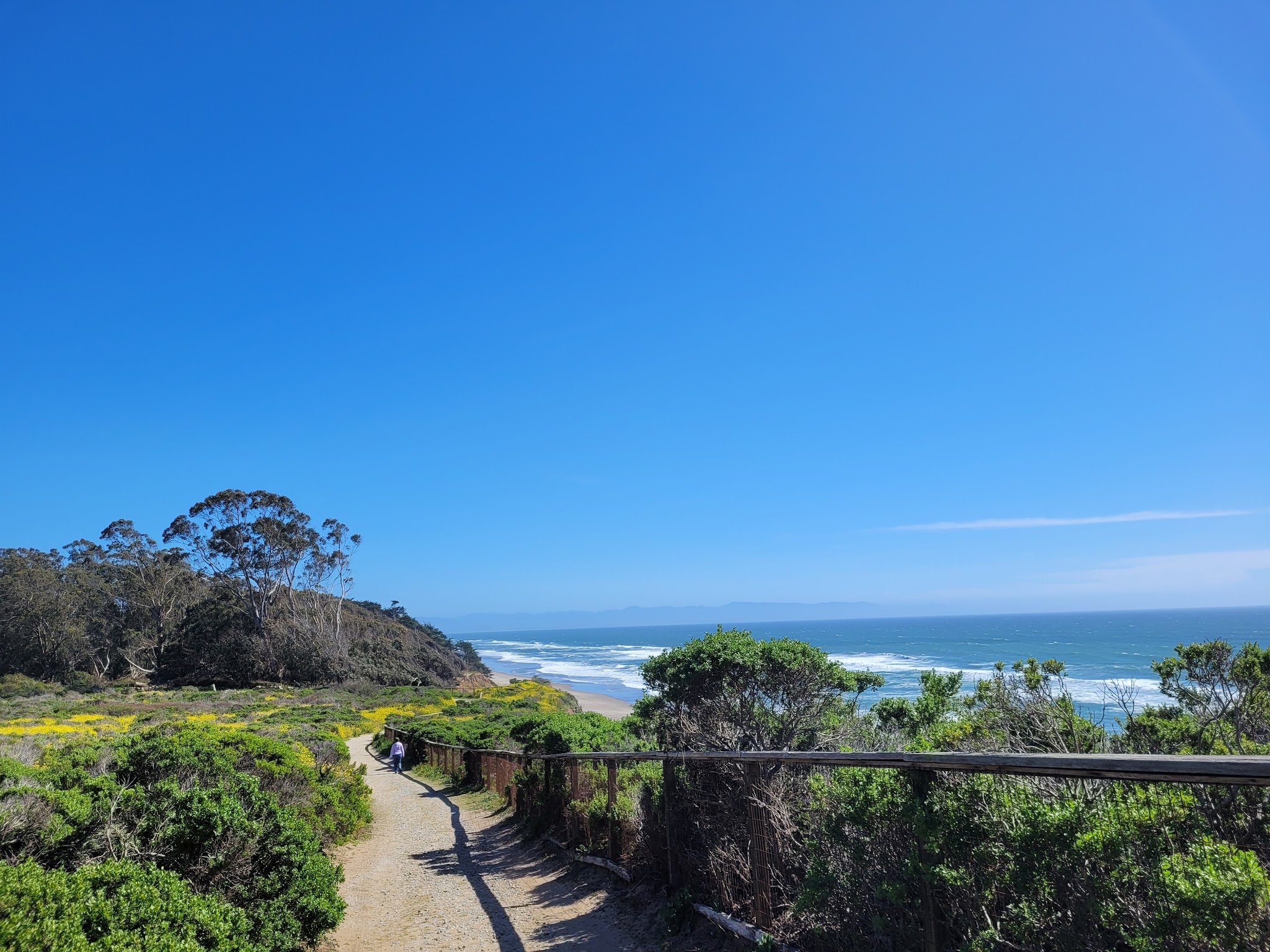 Manresa State Beach Campground