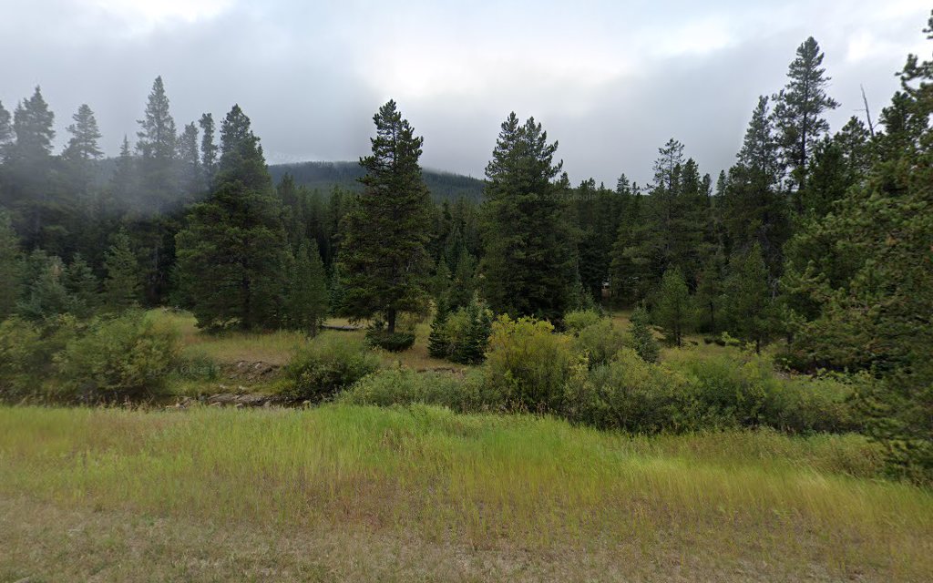 Many Pines Campground