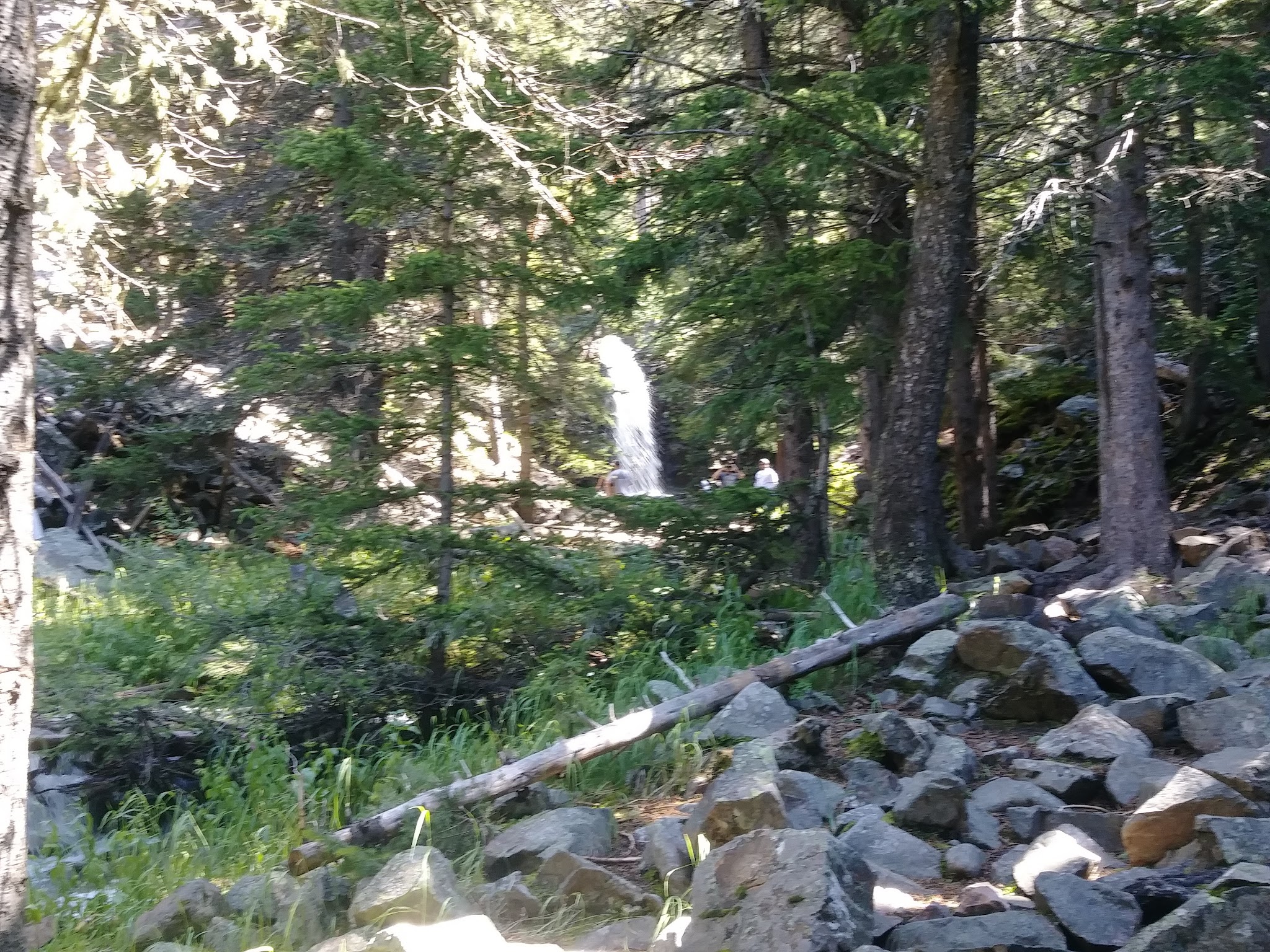 Many Pines Campground