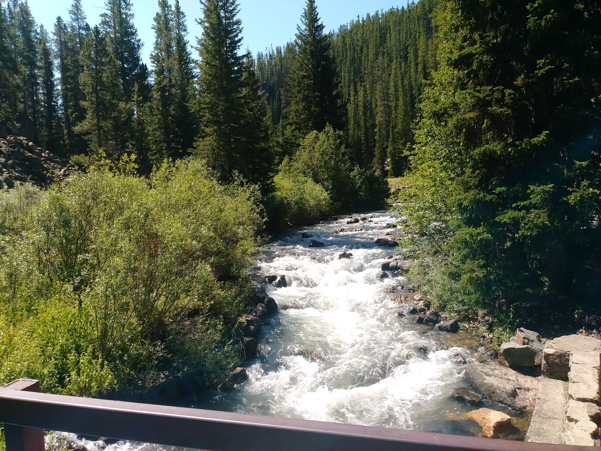 Many Pines Campground