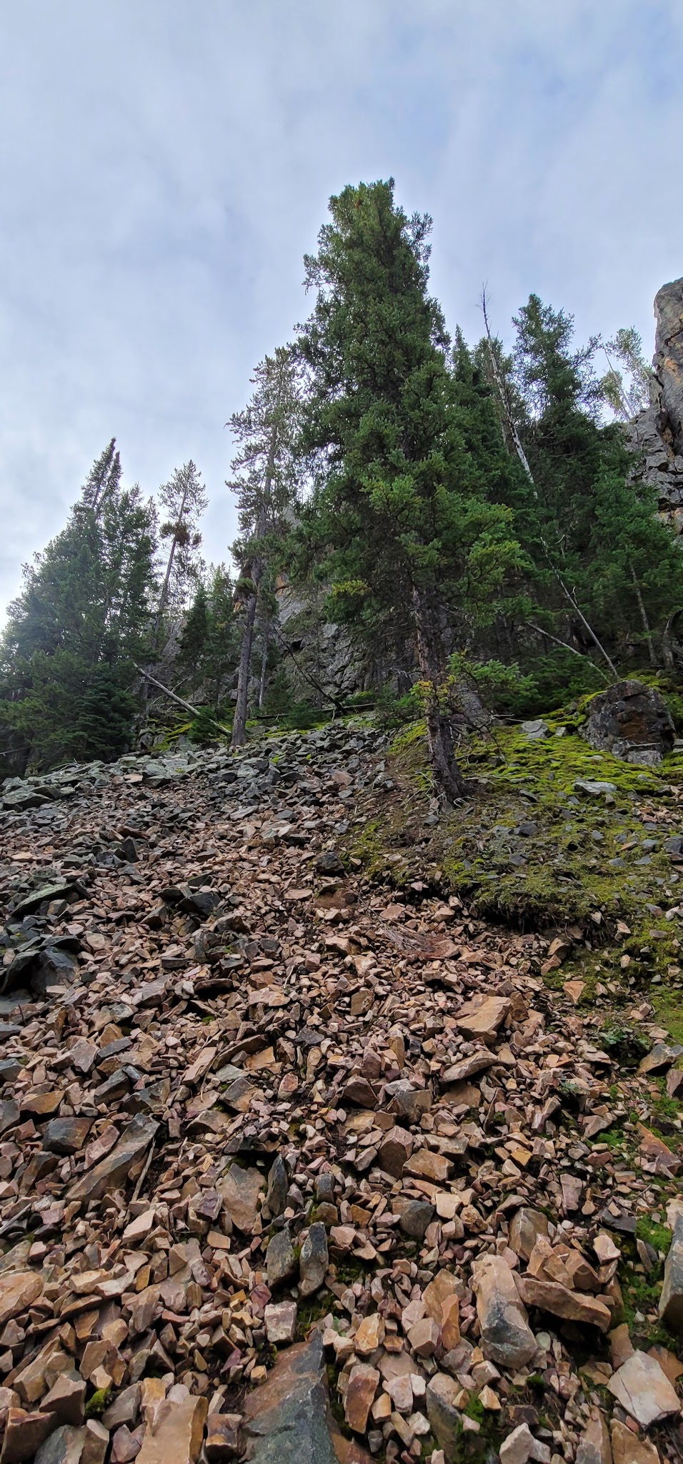 Many Pines Campground