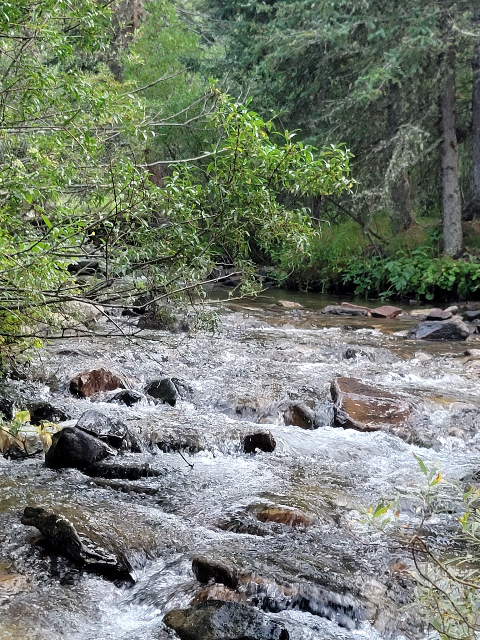 Many Pines Campground