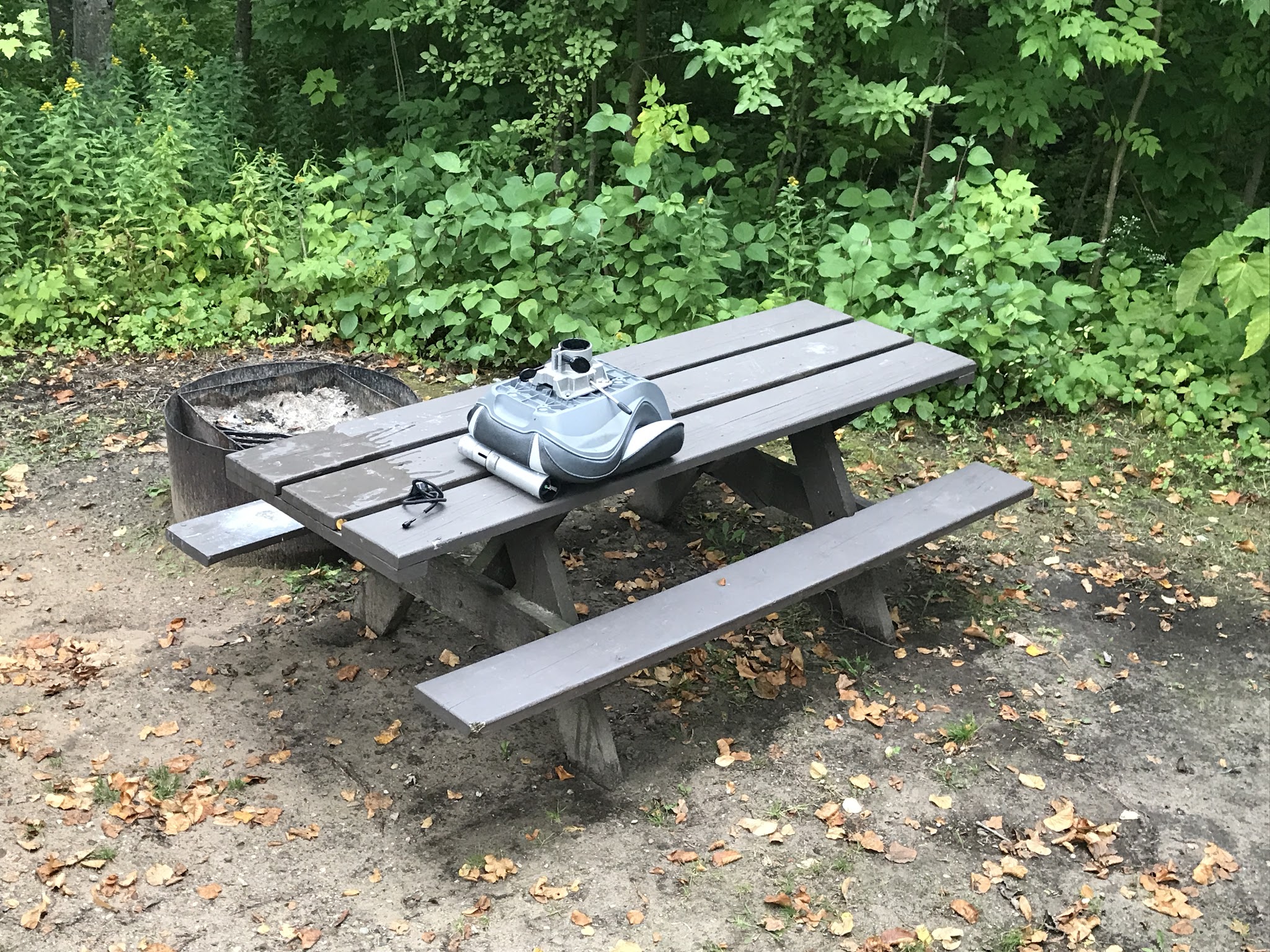 Maple Bay State Forest Campground