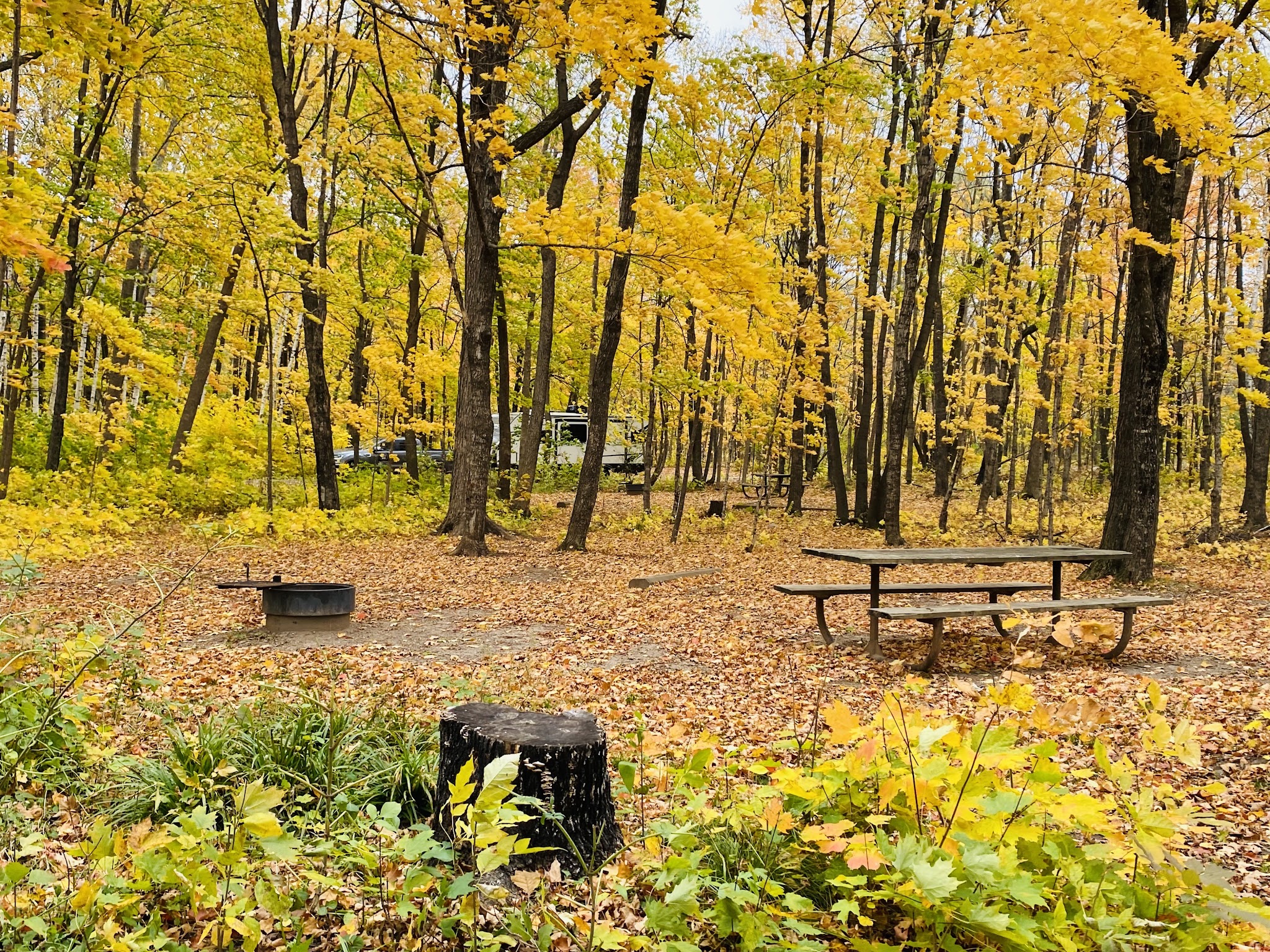 Maple Grove Campground