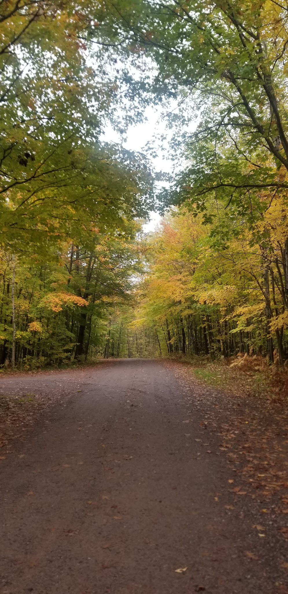 Maple Grove Campground