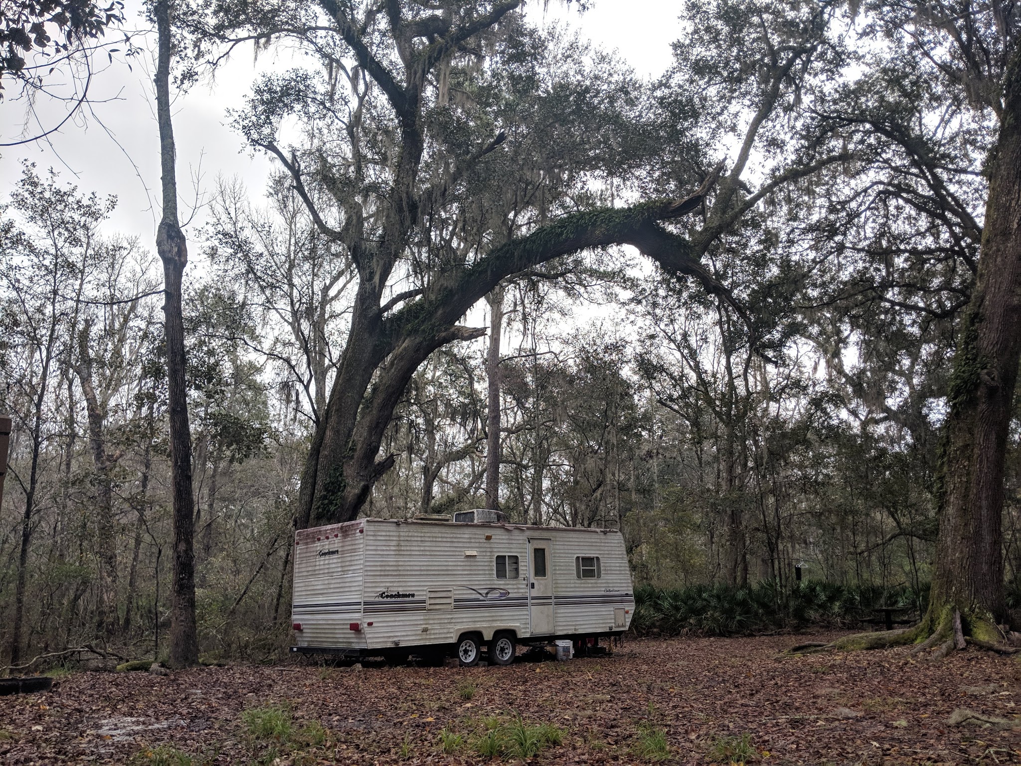 Maple Set Campground