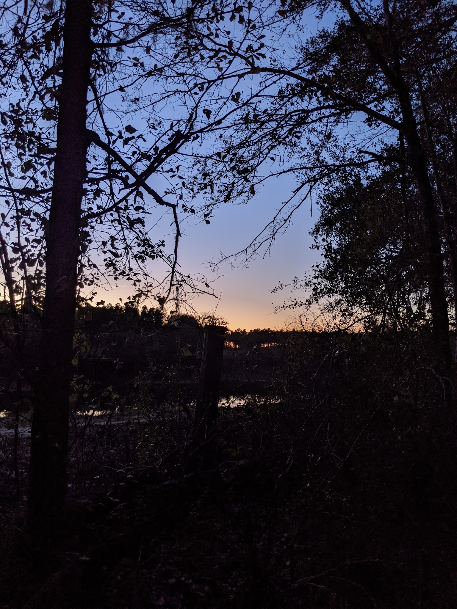 Maple Set Campground