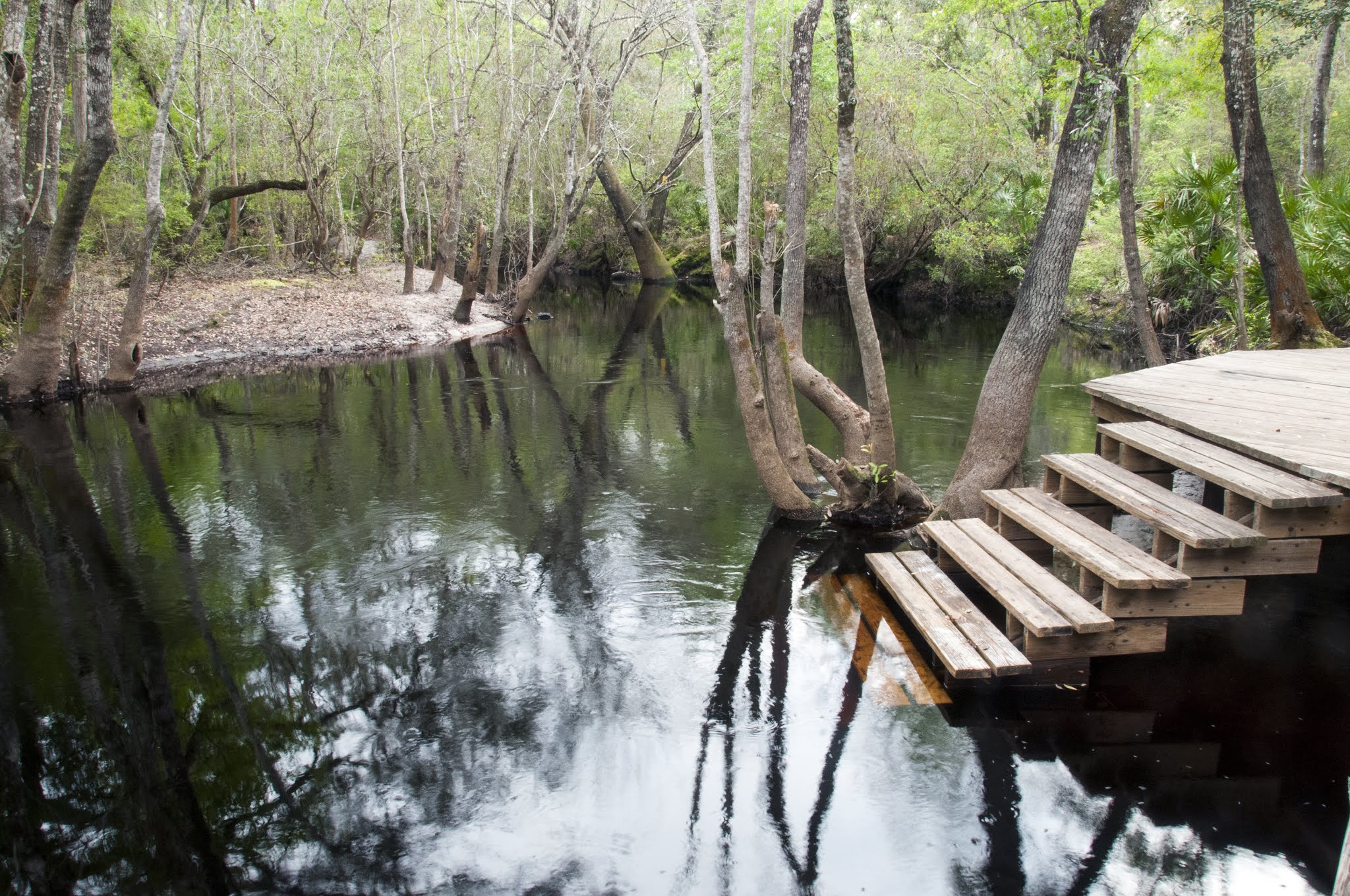 Maple Set Campground