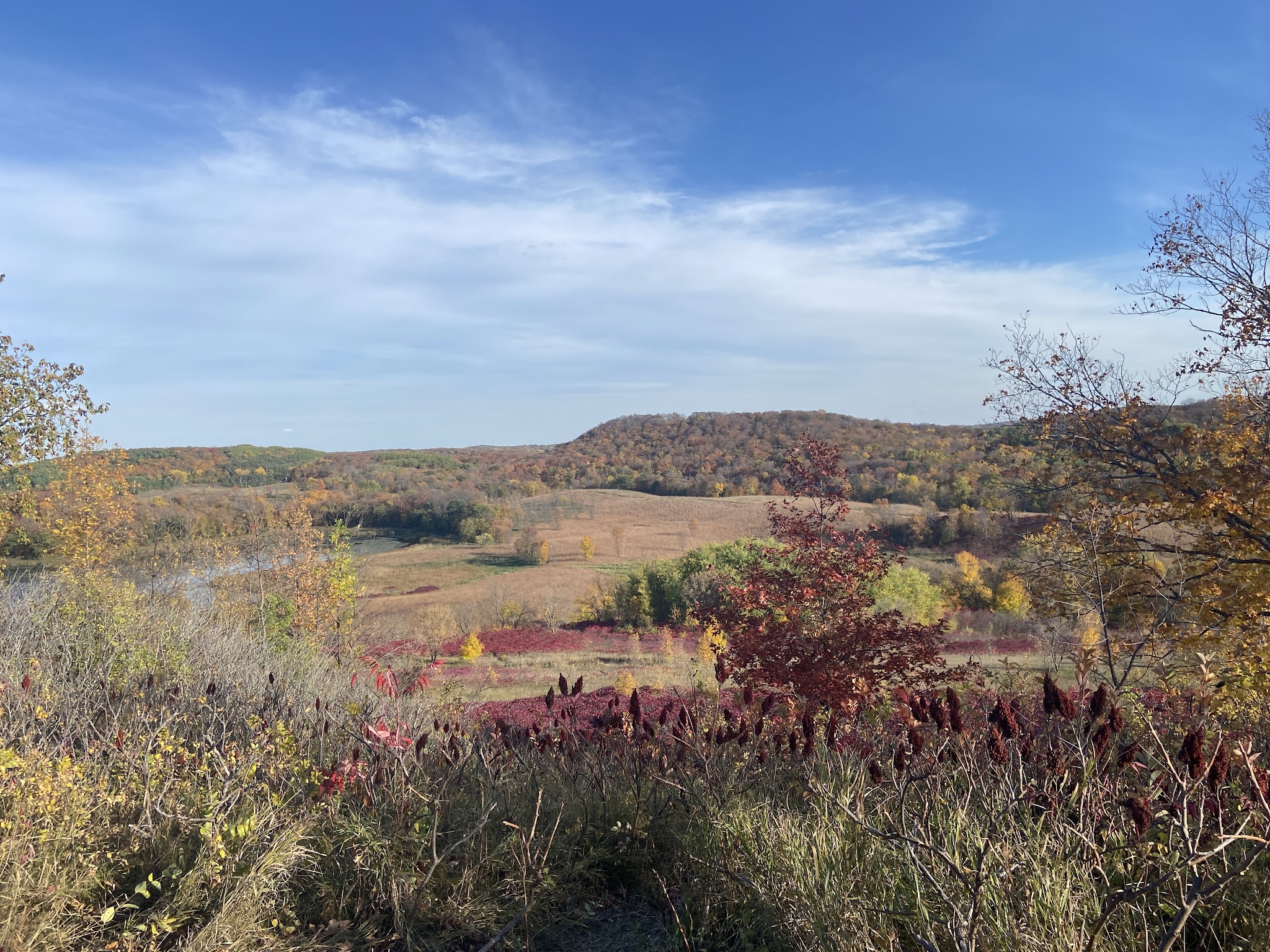 Grass Lake : Main Campground