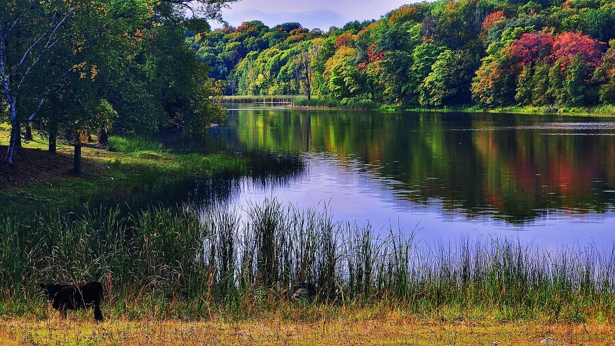 Grass Lake : Main Campground