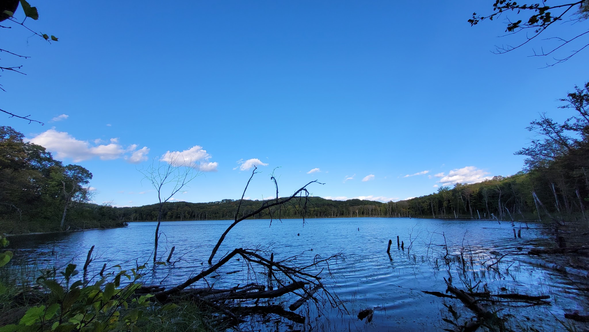 Grass Lake : Main Campground