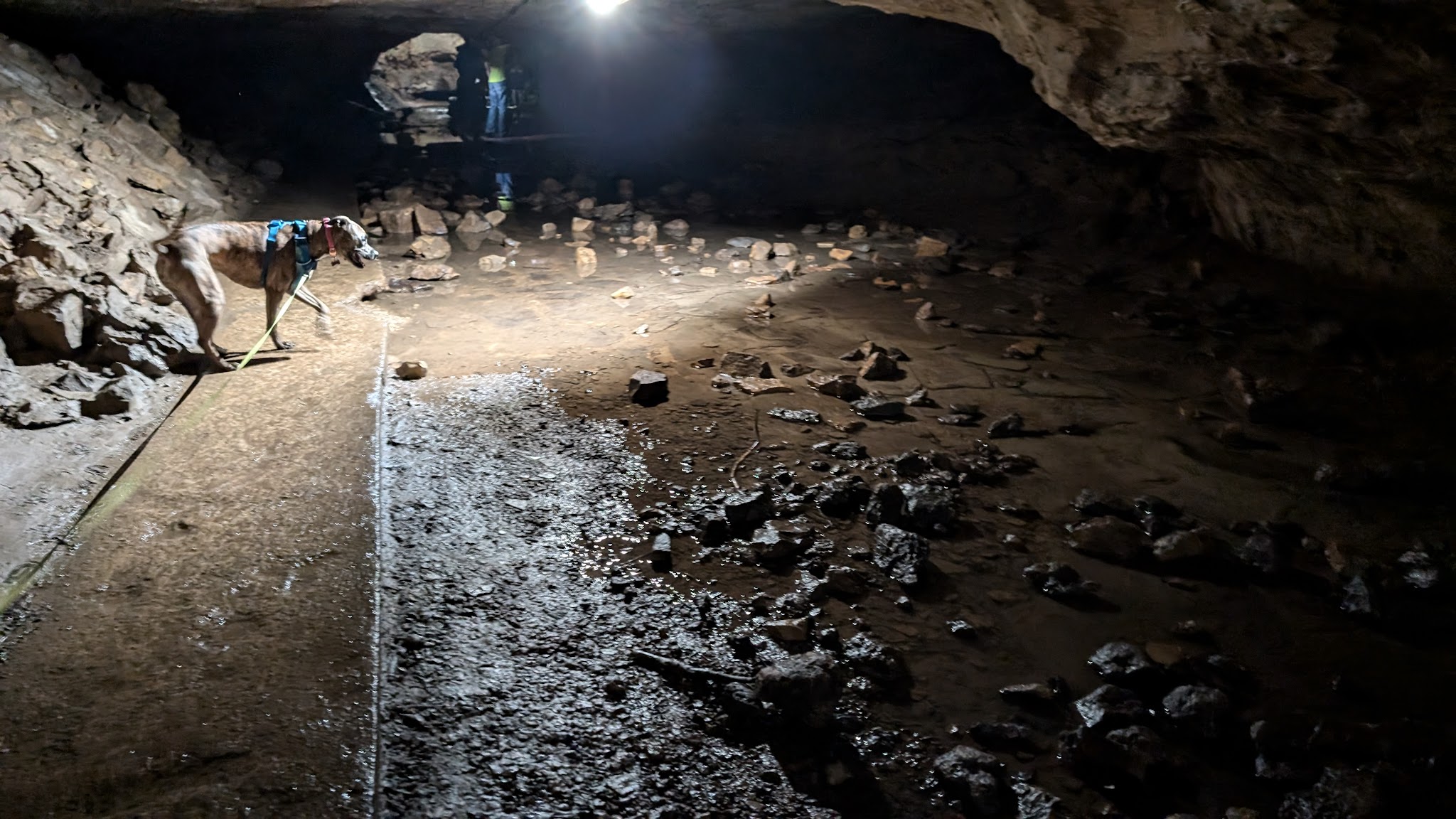 Maquoketa Caves State Park