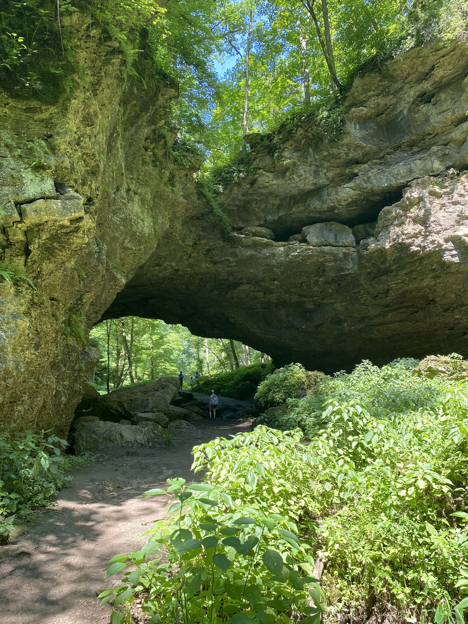 Maquoketa Caves State Park