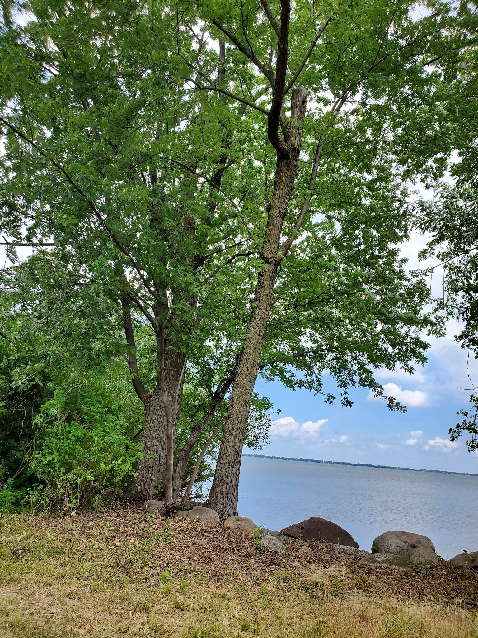 Marble Beach State Recreation Area