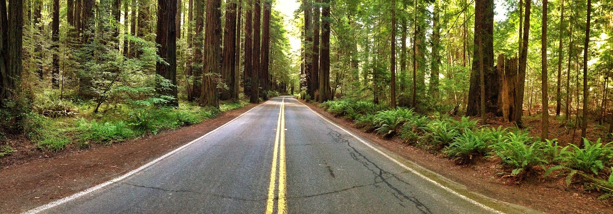 Marin Group Campground