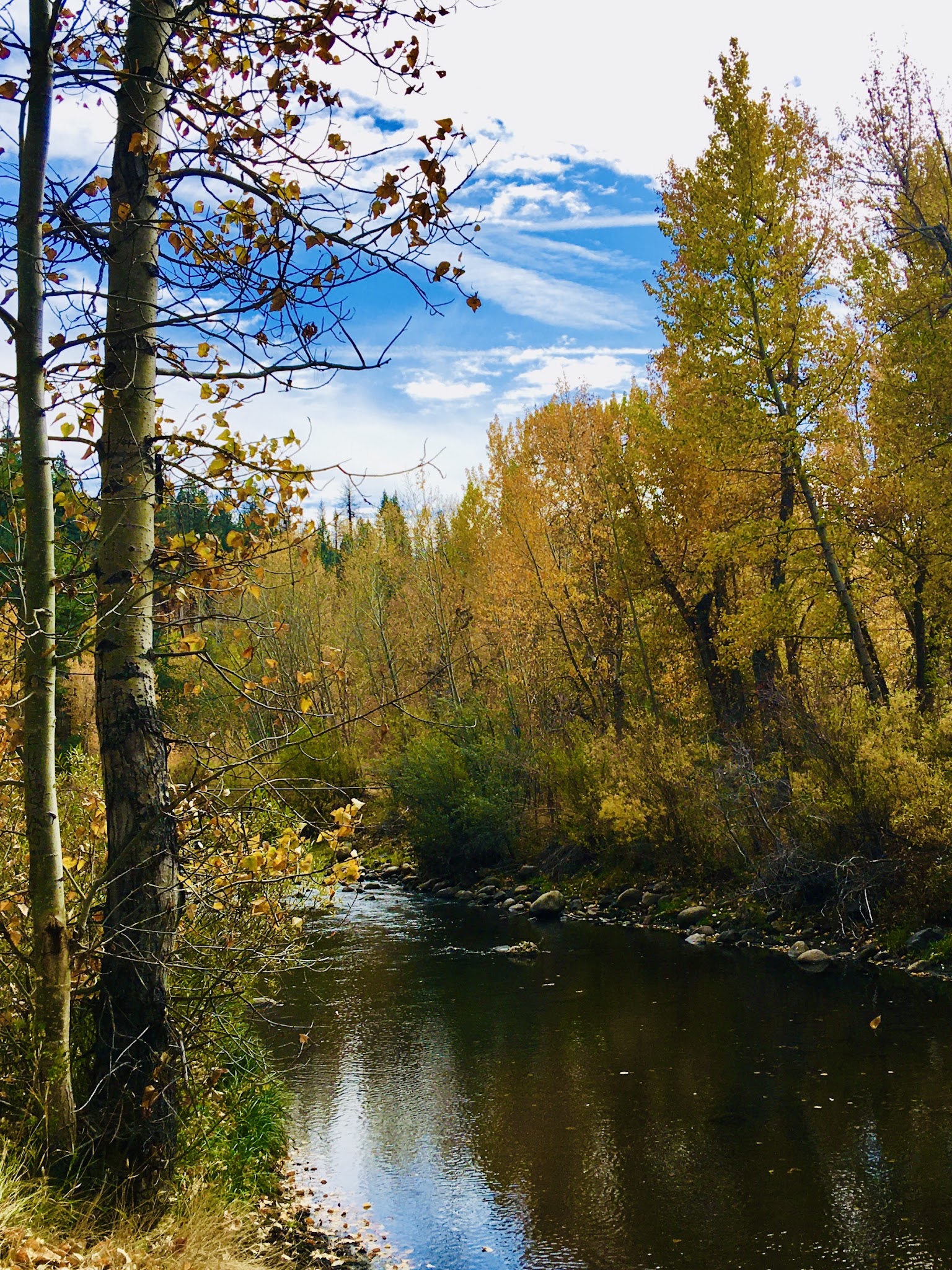 Markleeville Campground