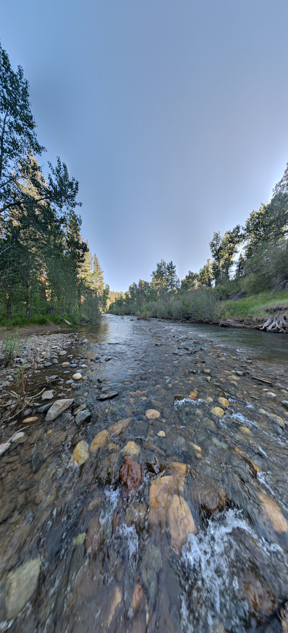 Markleeville Campground