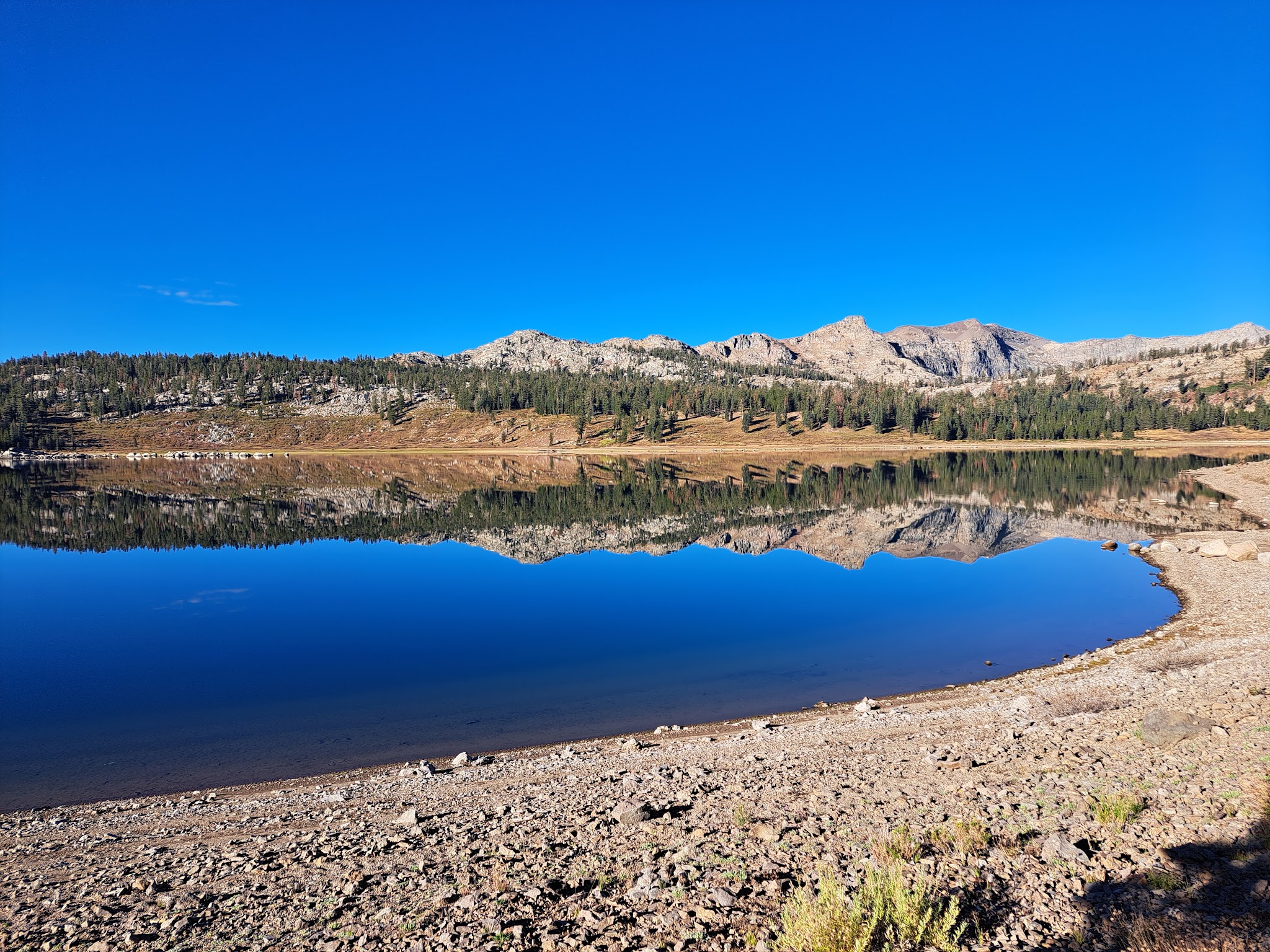 Markleeville Campground