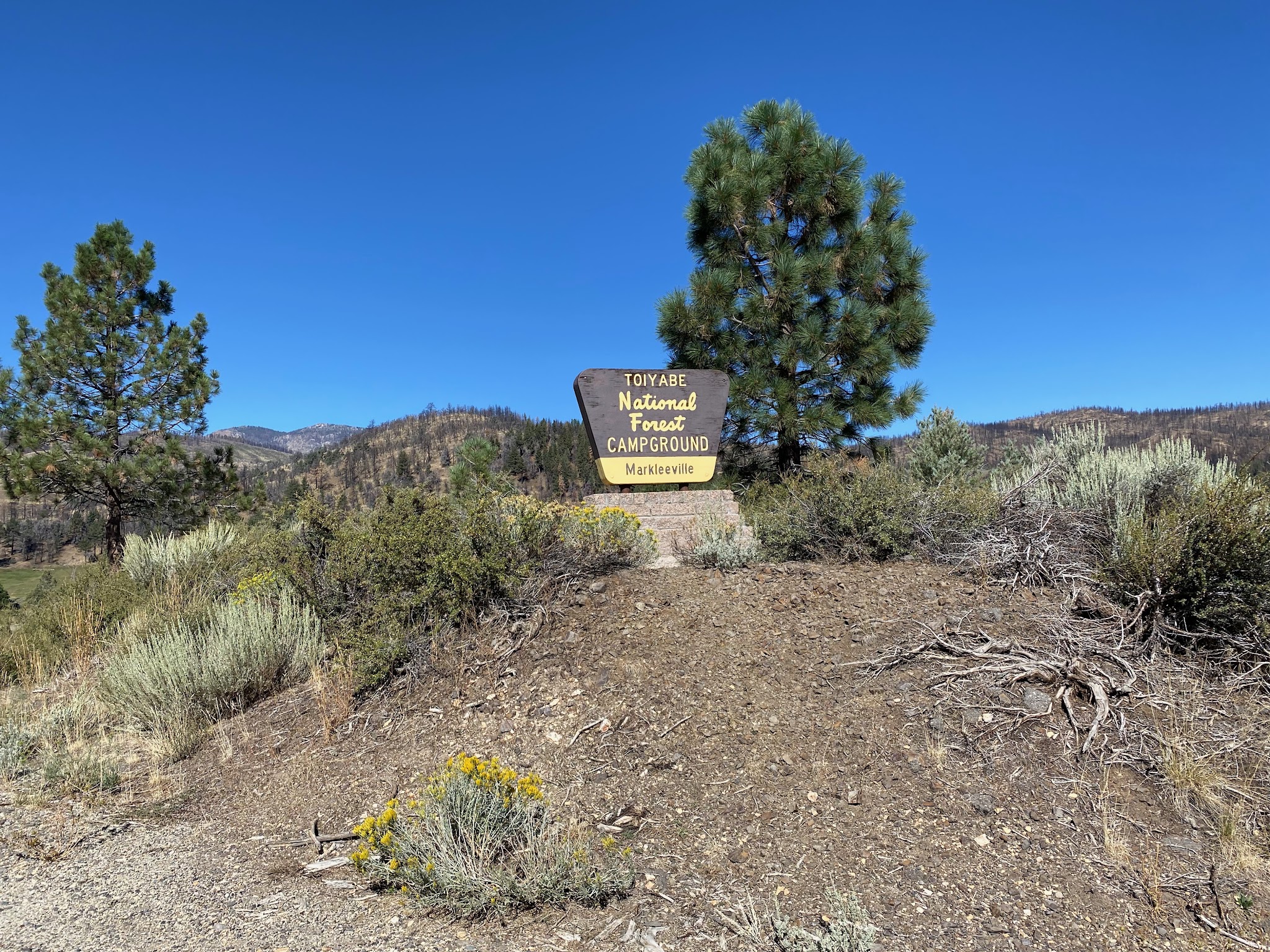 Markleeville Campground